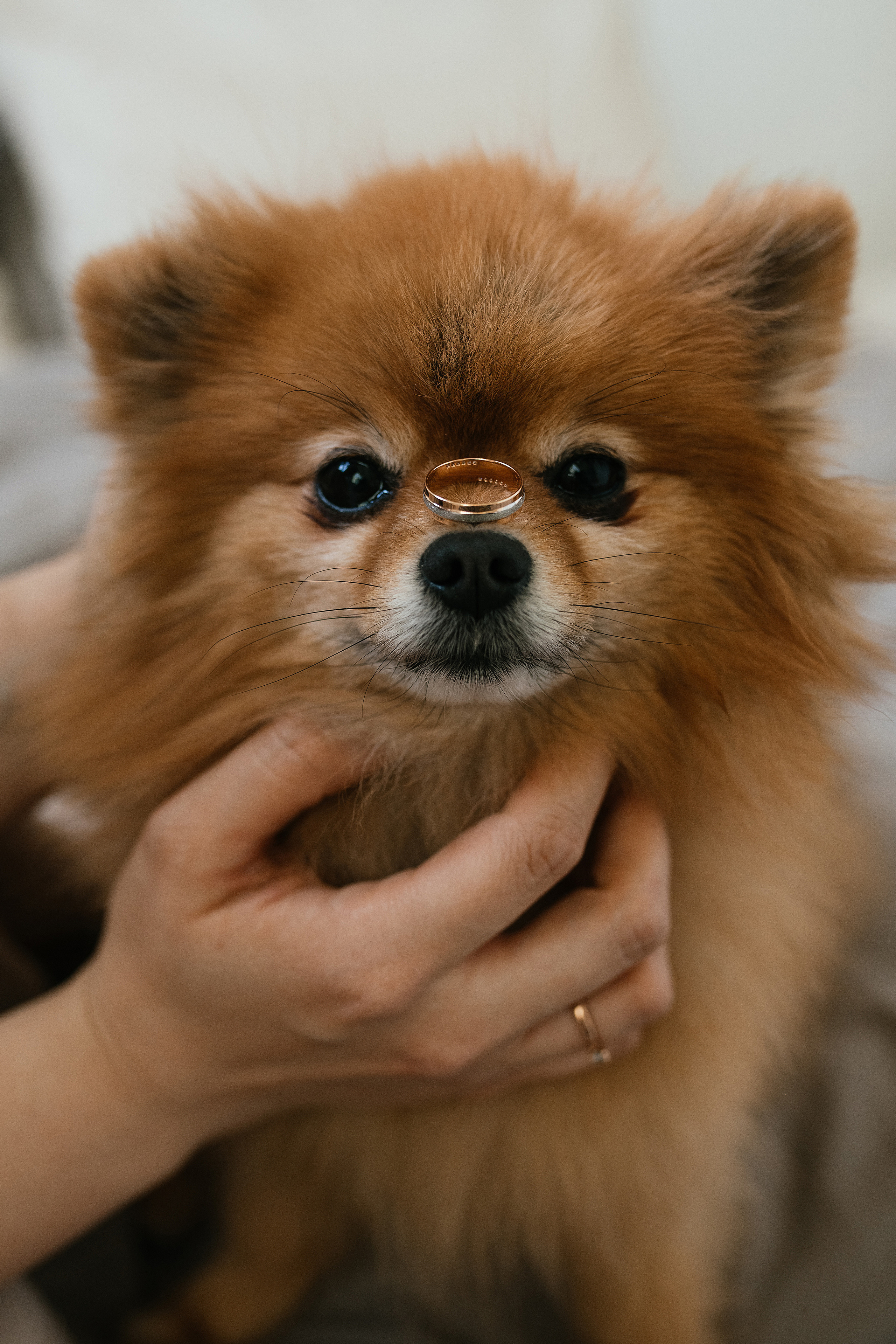 Wedding day #31. Свадебный, семейный фотограф в Рязани Лена Брант