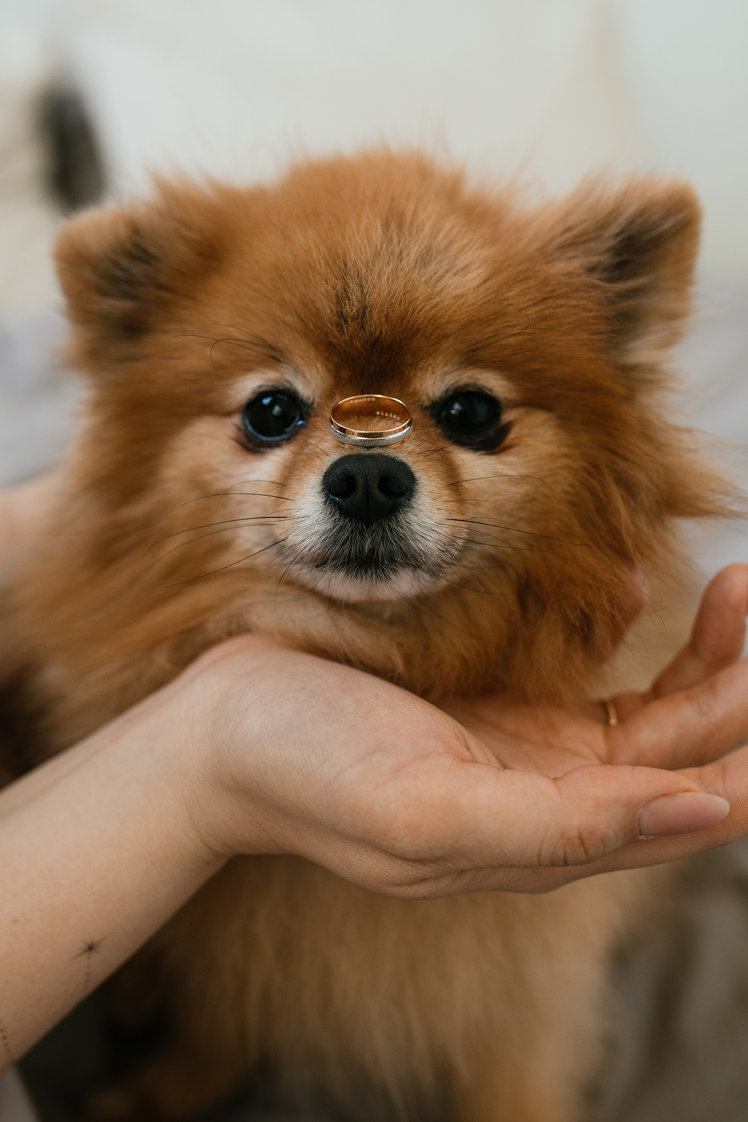 Wedding day #31. Свадебный, семейный фотограф в Рязани Лена Брант