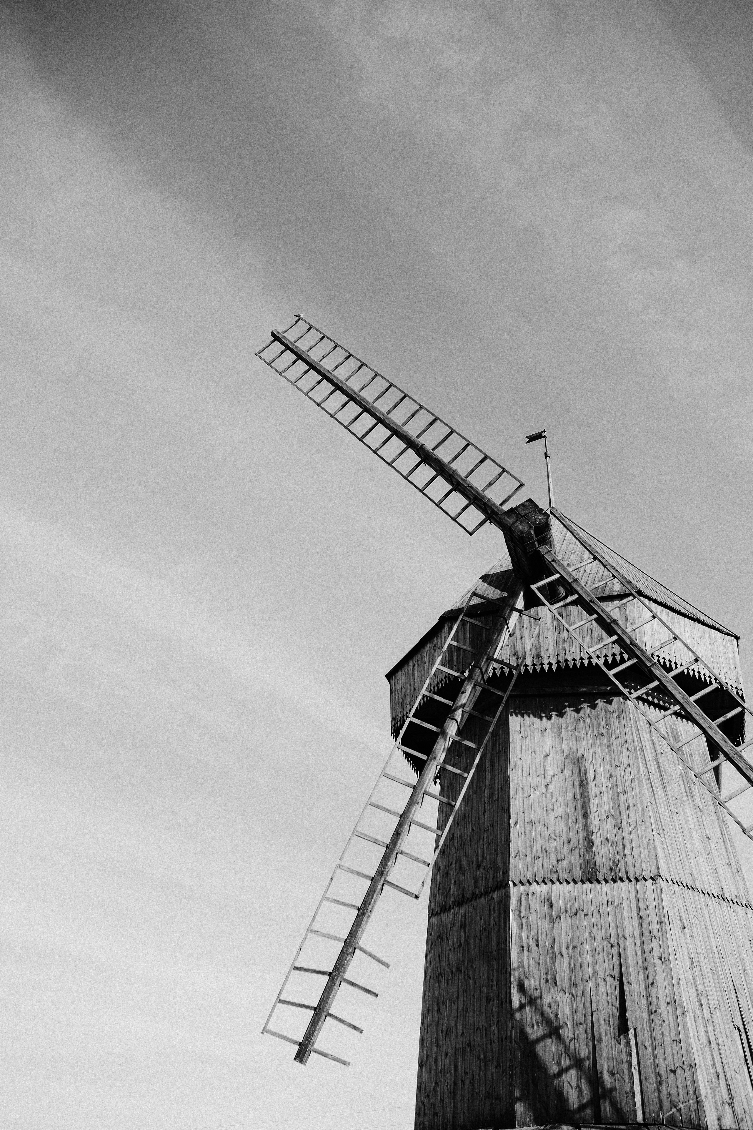 Анатолий. Свадебный, семейный фотограф в Рязани Лена Брант