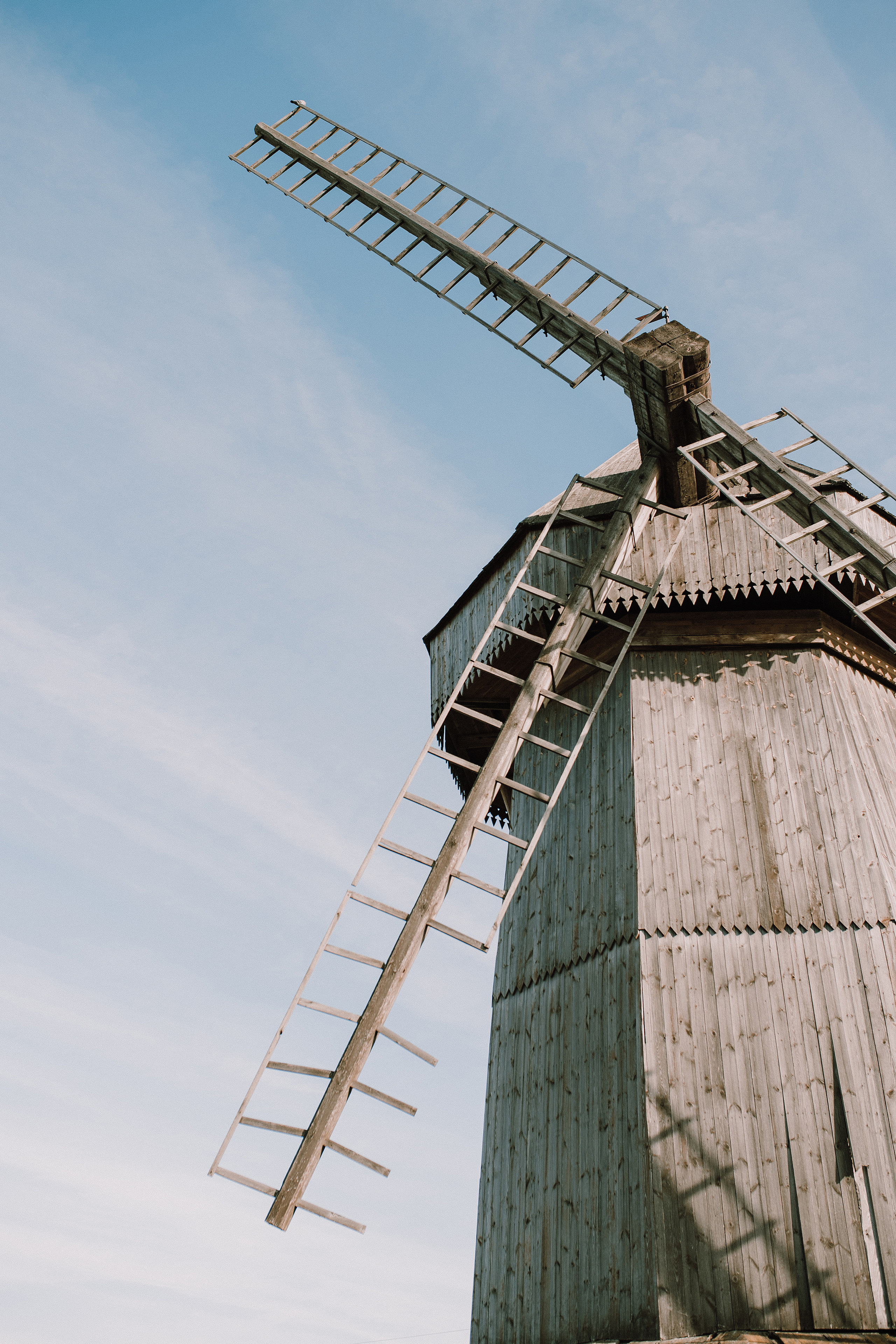 Анатолий. Свадебный, семейный фотограф в Рязани Лена Брант