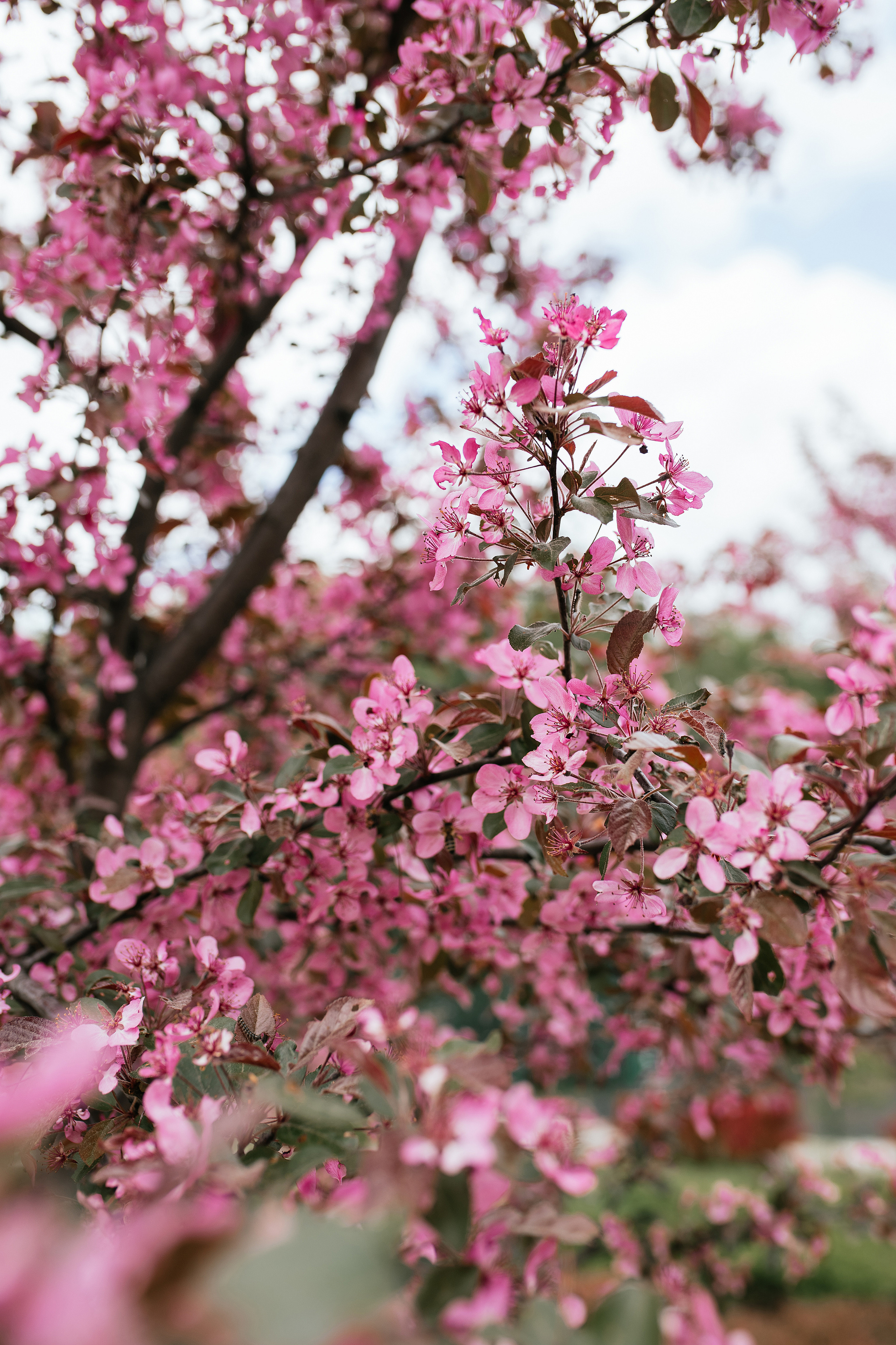 Wedding day #29. Свадебный, семейный фотограф в Рязани Лена Брант