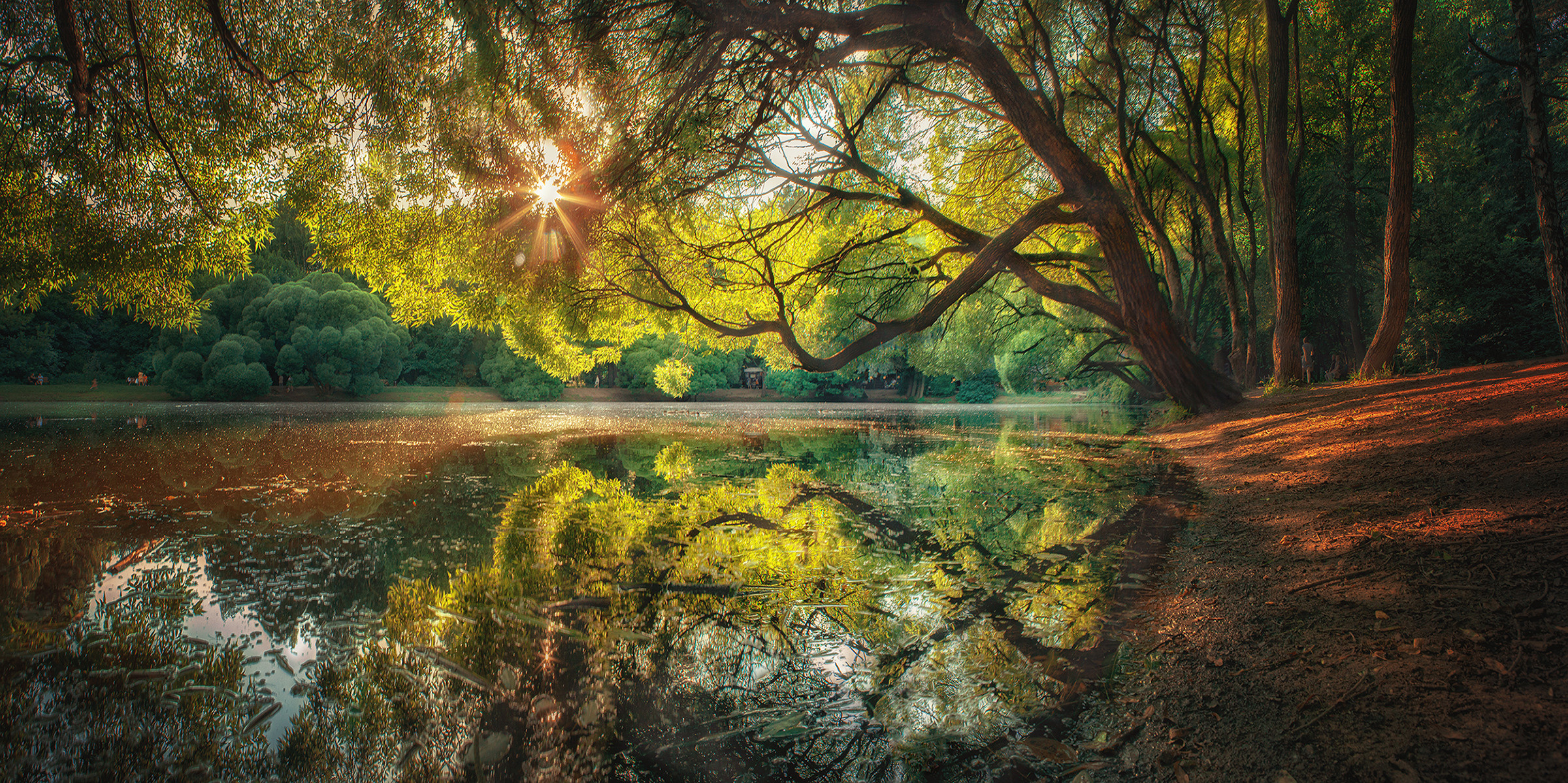 Landscape. Reportage, architectural, fine art photographer Lena Melnikova in Moscow