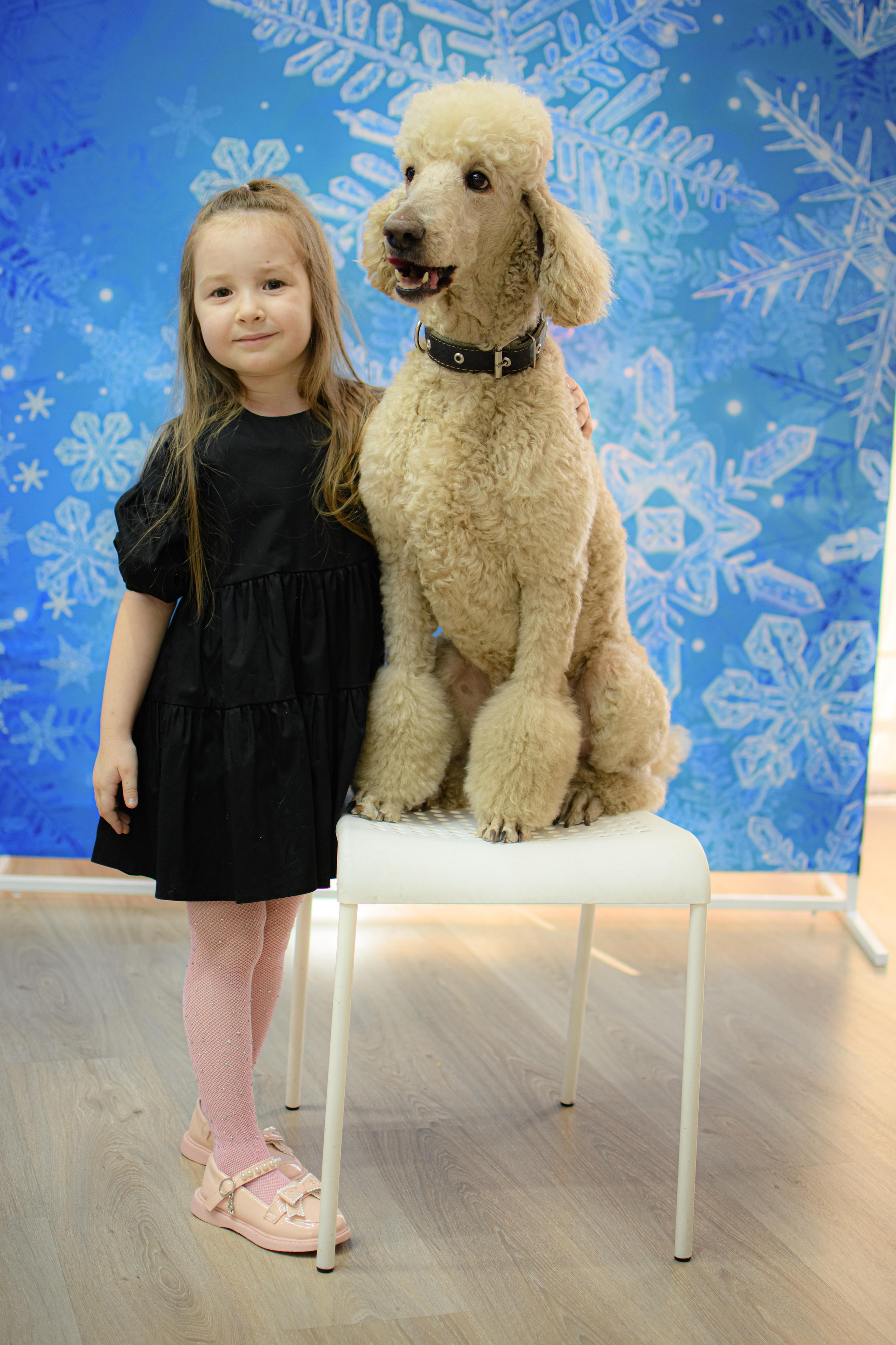 HAPPY NEW YEAR. Photokarish