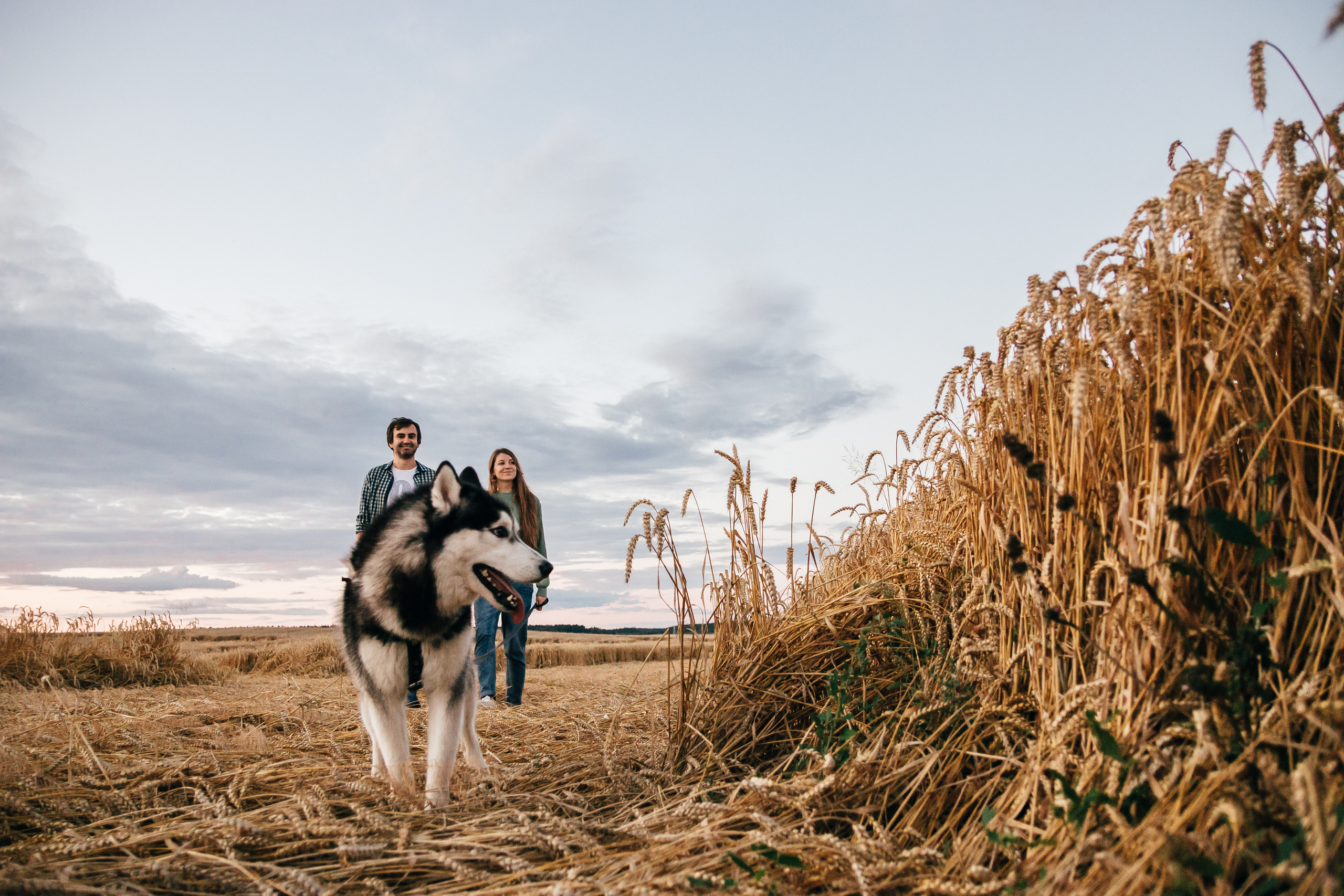 Свадебный фотограф Минск, Беларусь Кирилл Напреев. Свадебный фотограф Минск, Фаниполь, Беларусь Кирилл Напреев