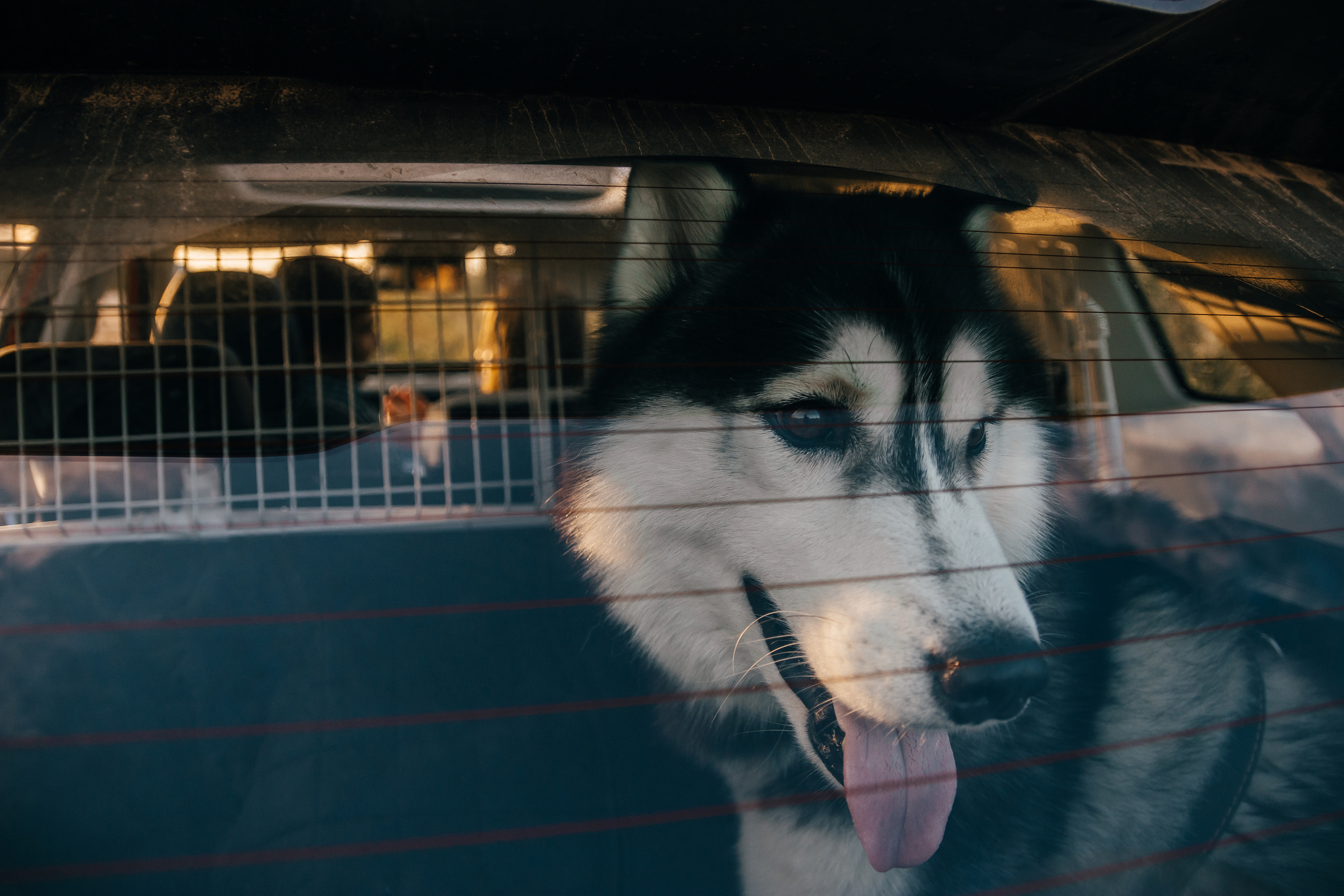 Свадебный фотограф Минск, Беларусь Кирилл Напреев. Свадебный фотограф Минск, Фаниполь, Беларусь Кирилл Напреев