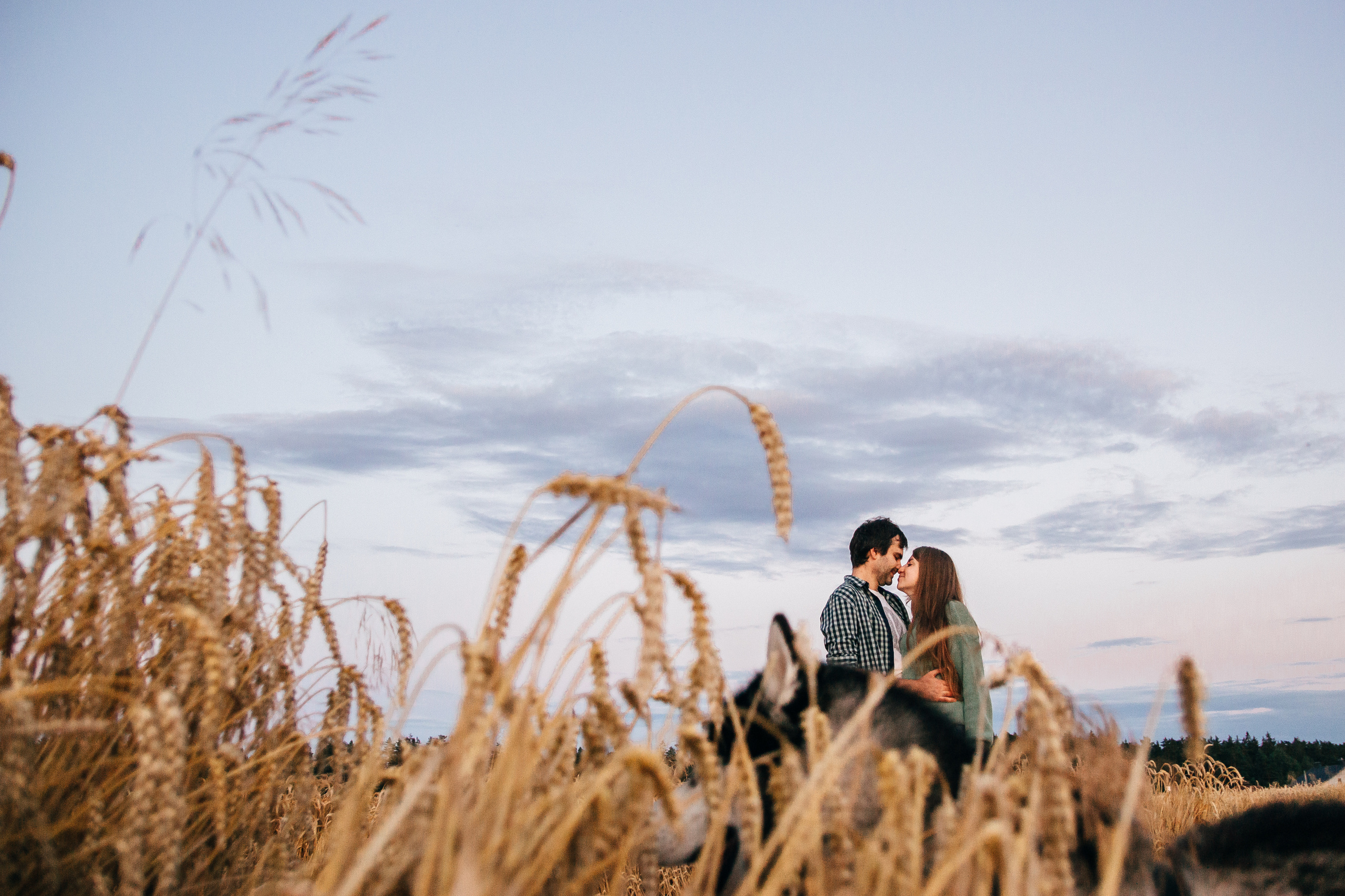 Свадебный фотограф Минск, Беларусь Кирилл Напреев. Свадебный фотограф Минск, Фаниполь, Беларусь Кирилл Напреев