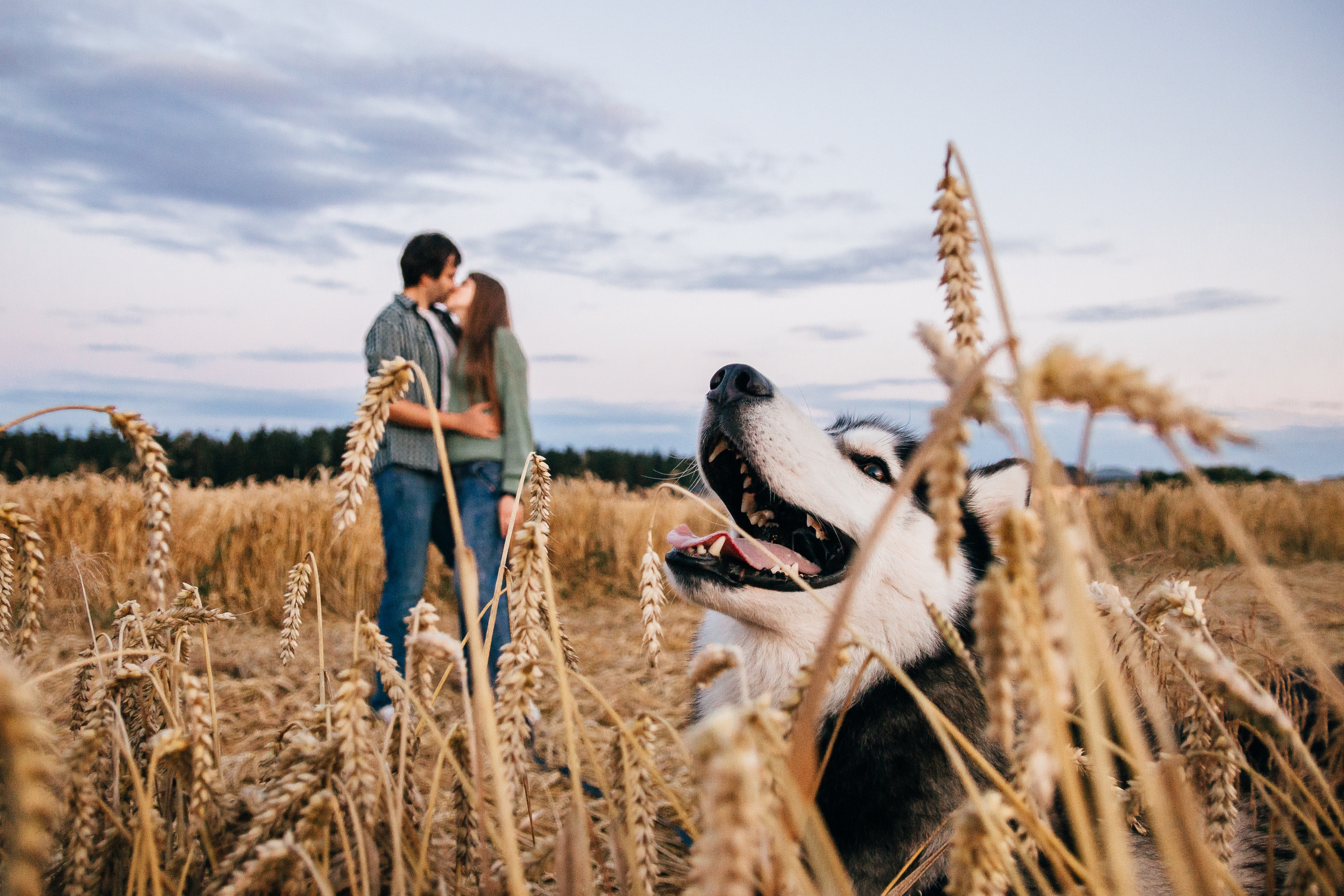 Свадебный фотограф Минск, Беларусь Кирилл Напреев. Свадебный фотограф Минск, Фаниполь, Беларусь Кирилл Напреев