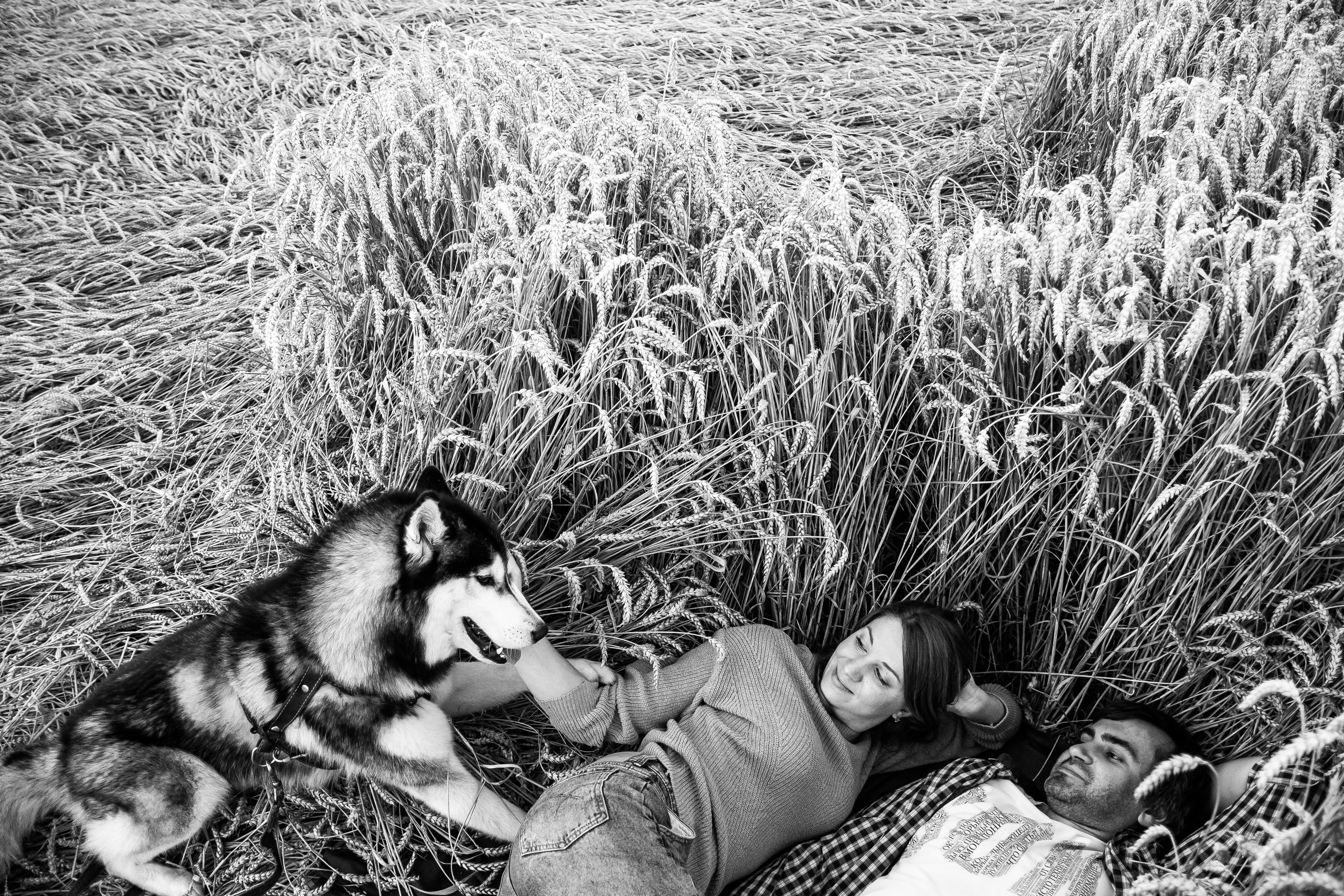 Свадебный фотограф Минск, Беларусь Кирилл Напреев. Свадебный фотограф Минск, Фаниполь, Беларусь Кирилл Напреев