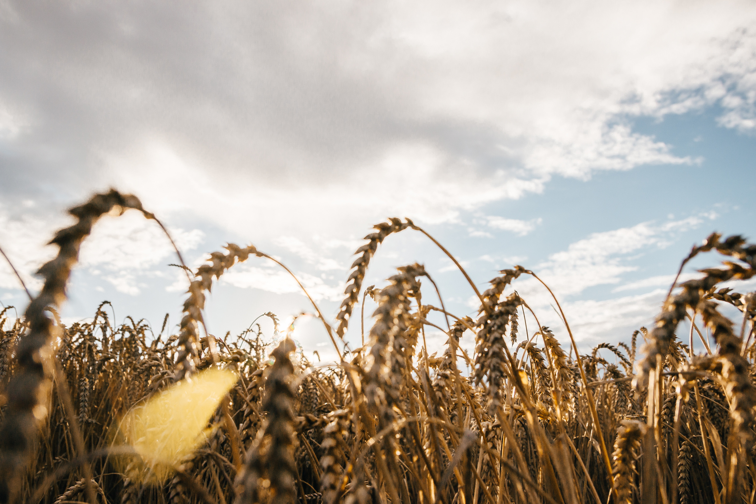 Свадебный фотограф Минск, Беларусь Кирилл Напреев. Свадебный фотограф Минск, Фаниполь, Беларусь Кирилл Напреев