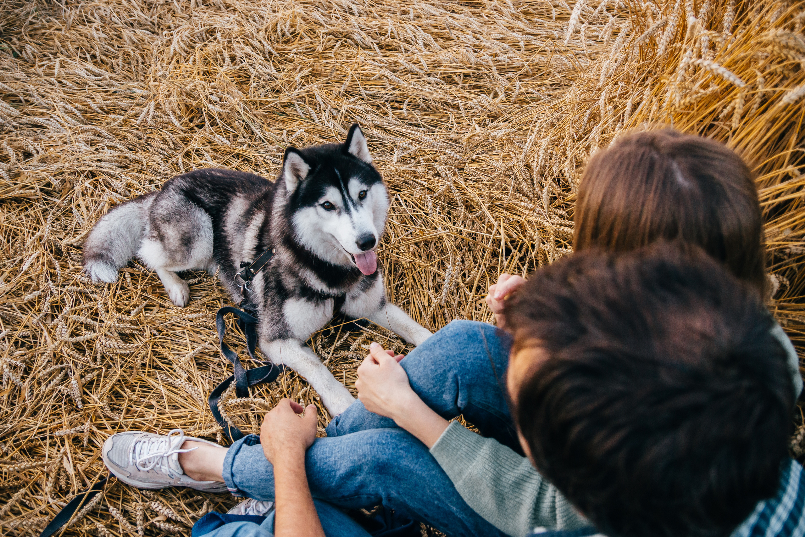 Свадебный фотограф Минск, Беларусь Кирилл Напреев. Свадебный фотограф Минск, Фаниполь, Беларусь Кирилл Напреев