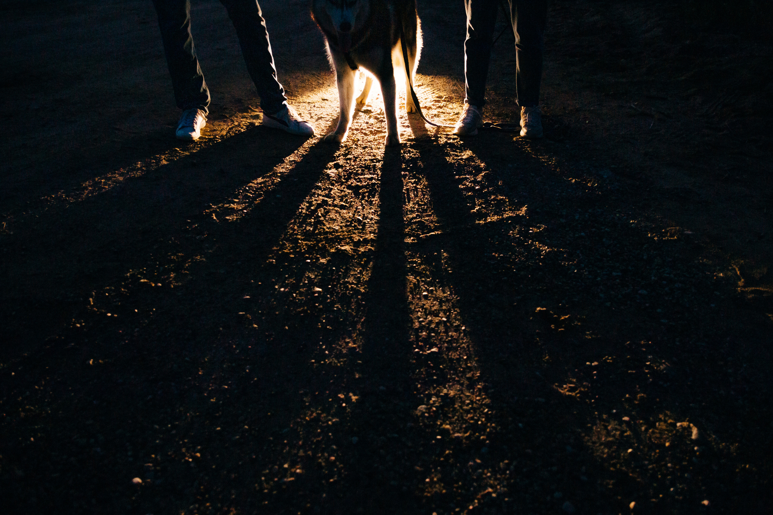 Свадебный фотограф Минск, Беларусь Кирилл Напреев. Свадебный фотограф Минск, Фаниполь, Беларусь Кирилл Напреев