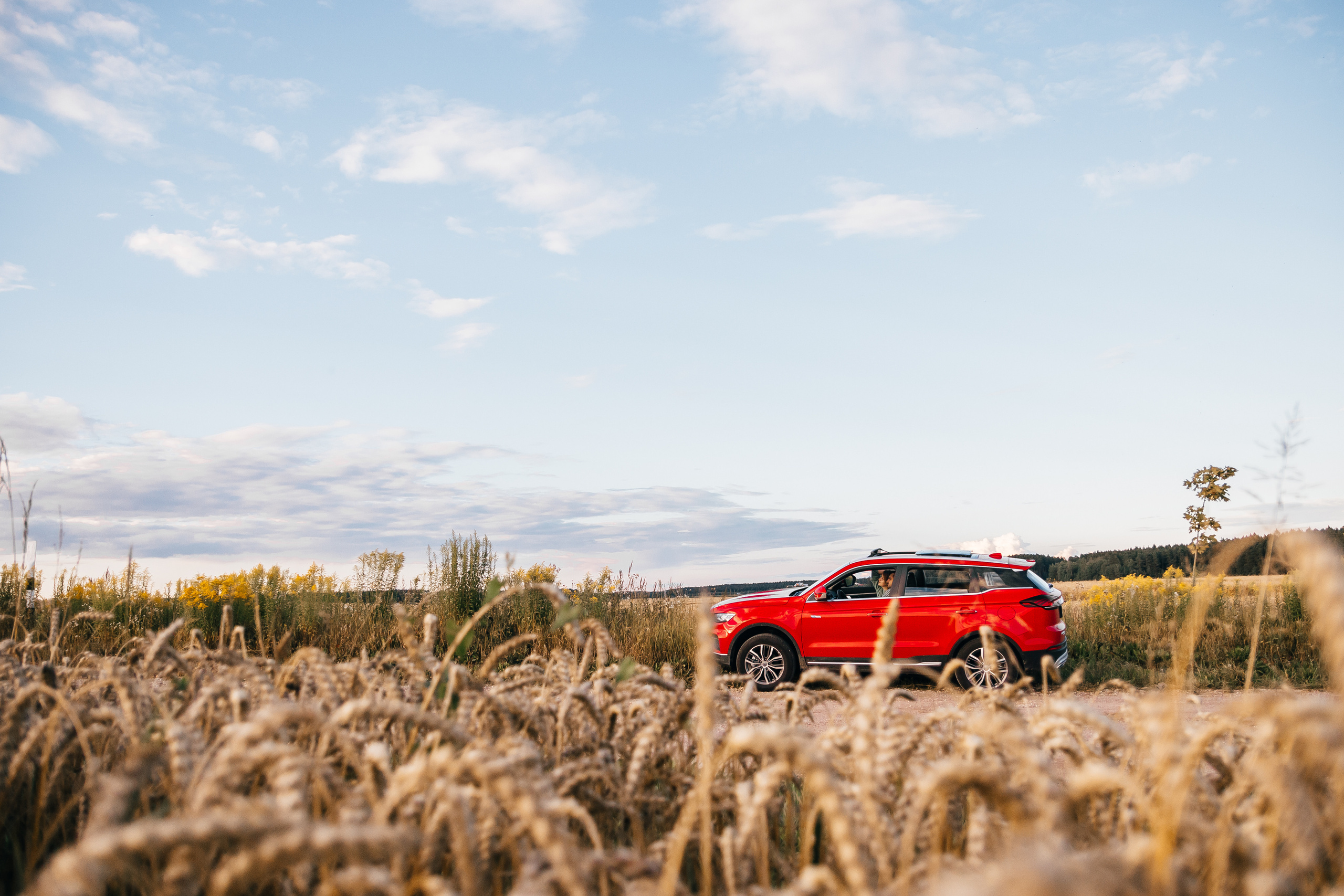 Свадебный фотограф Минск, Беларусь Кирилл Напреев. Свадебный фотограф Минск, Фаниполь, Беларусь Кирилл Напреев