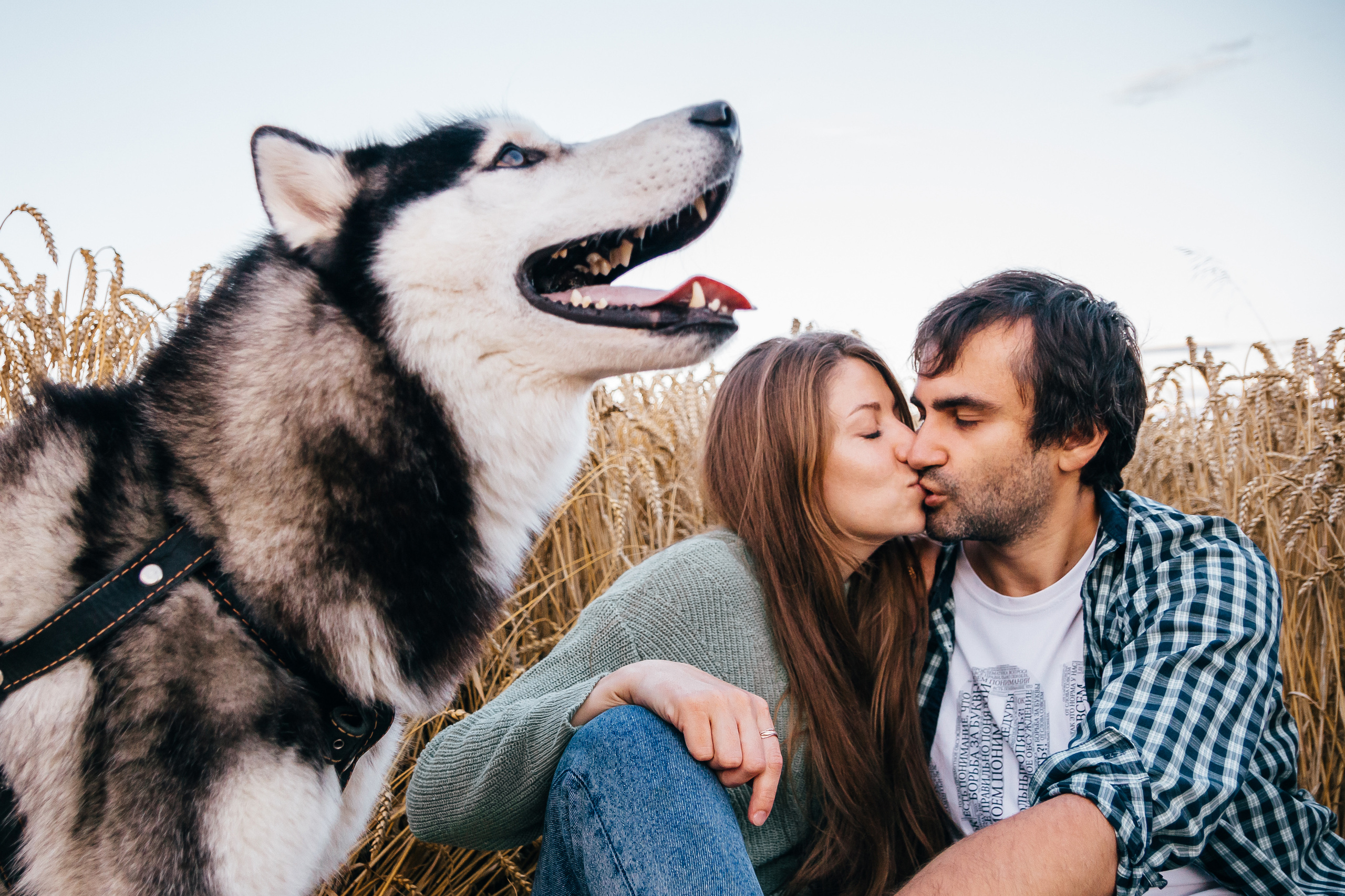 Свадебный фотограф Минск, Беларусь Кирилл Напреев. Свадебный фотограф Минск, Фаниполь, Беларусь Кирилл Напреев