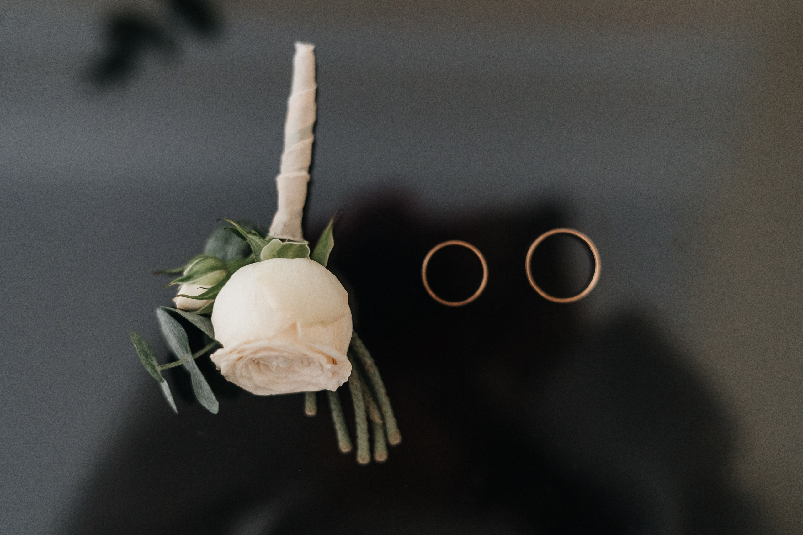 Владислав и Анна. Фотограф в Волгограде — Александра Искандерова