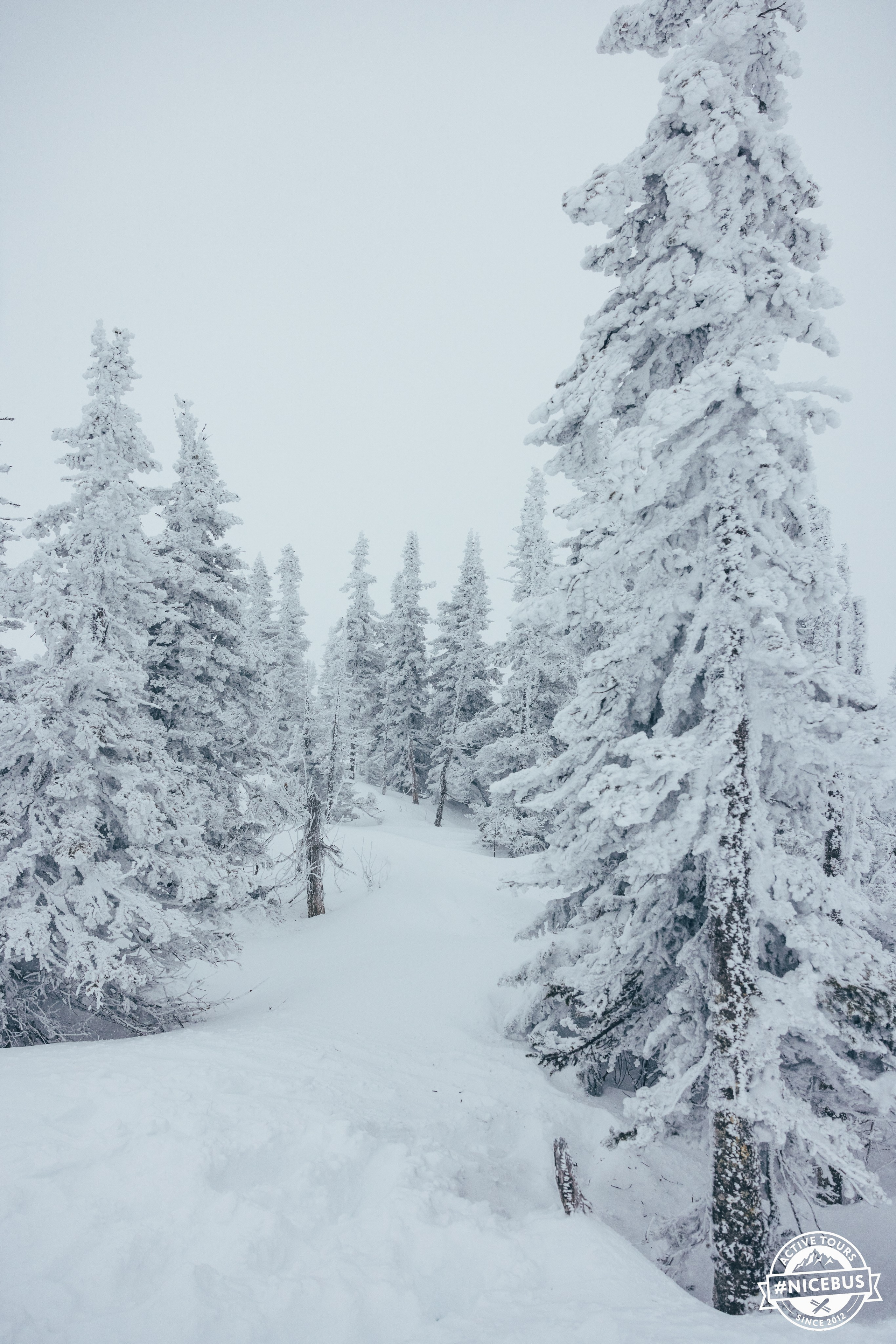 Шерегеш. Фотограф в Красноярске Евдокимова Анастасия