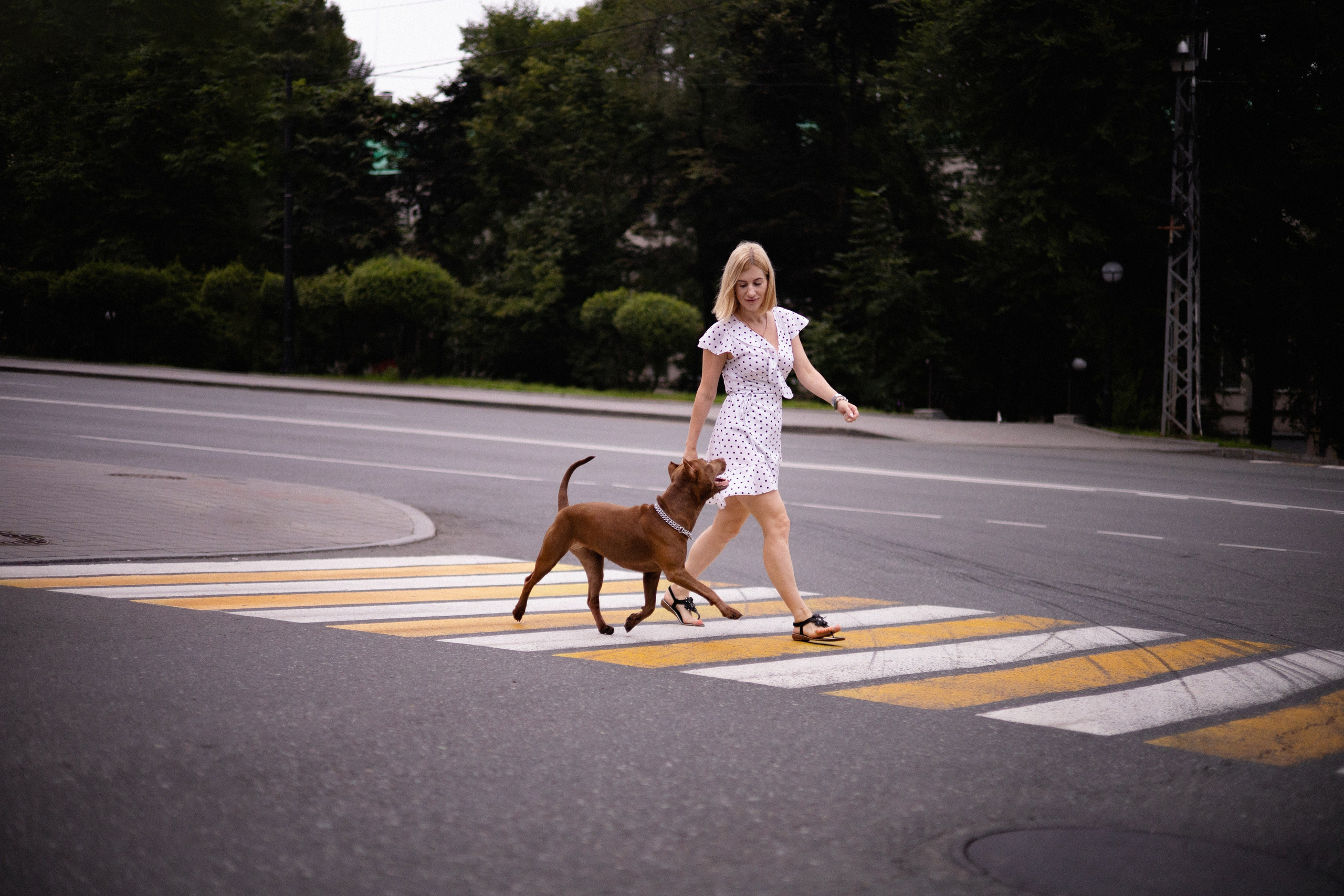 Оля и герда. Фотограф — анималист Владивосток, Алина