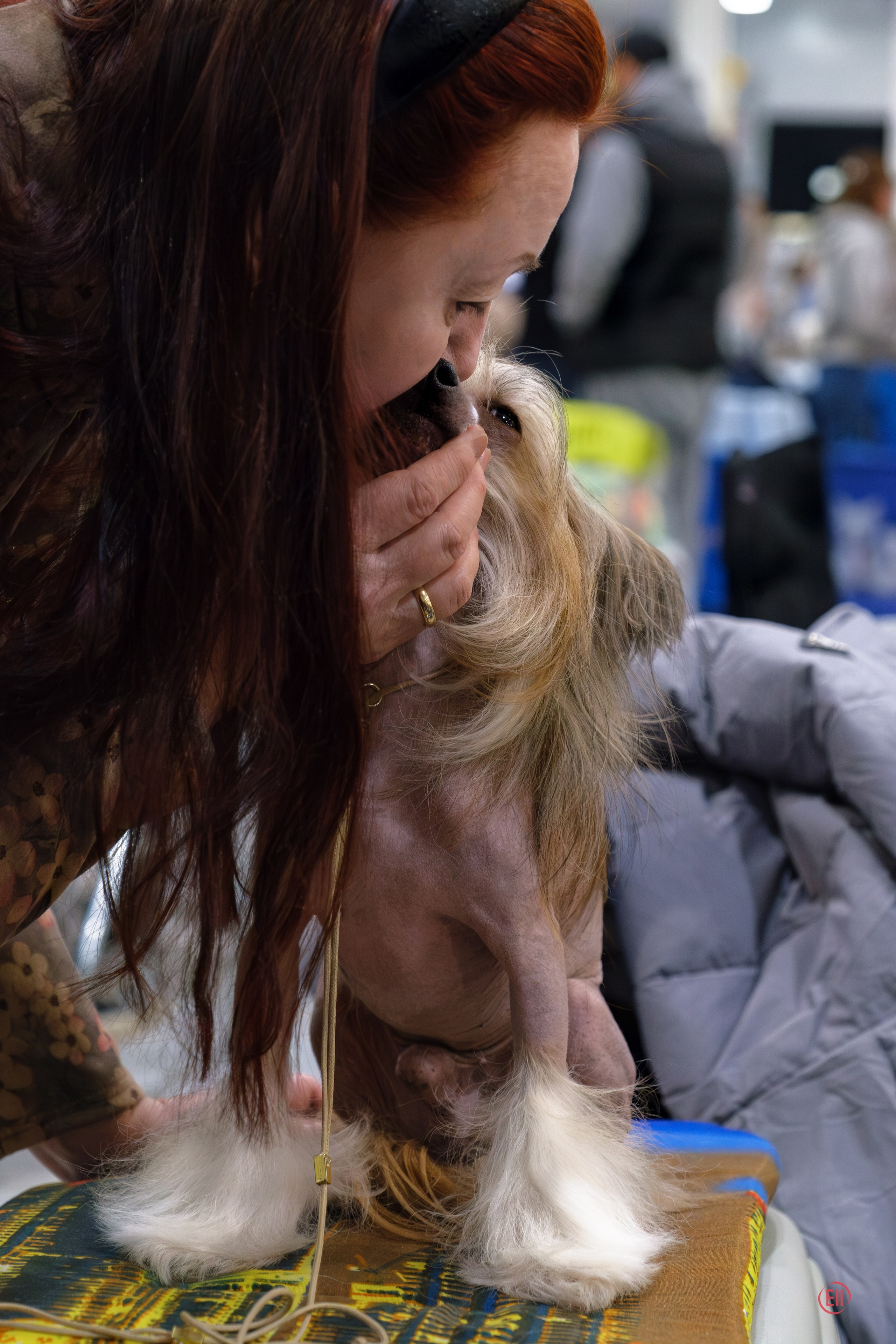 Монопородка в Крокус Экспо 03.12.2023. Фотограф в Москве