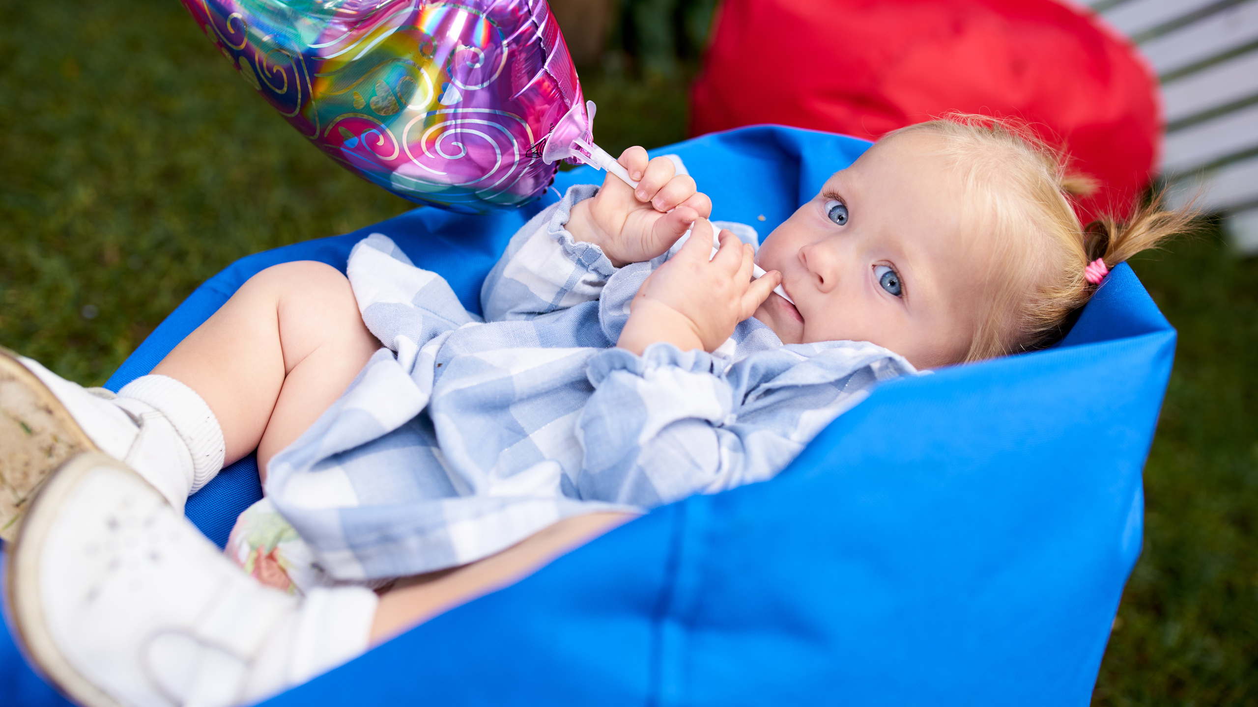 Лука День рождения 2020. Каталожный предметный фотограф