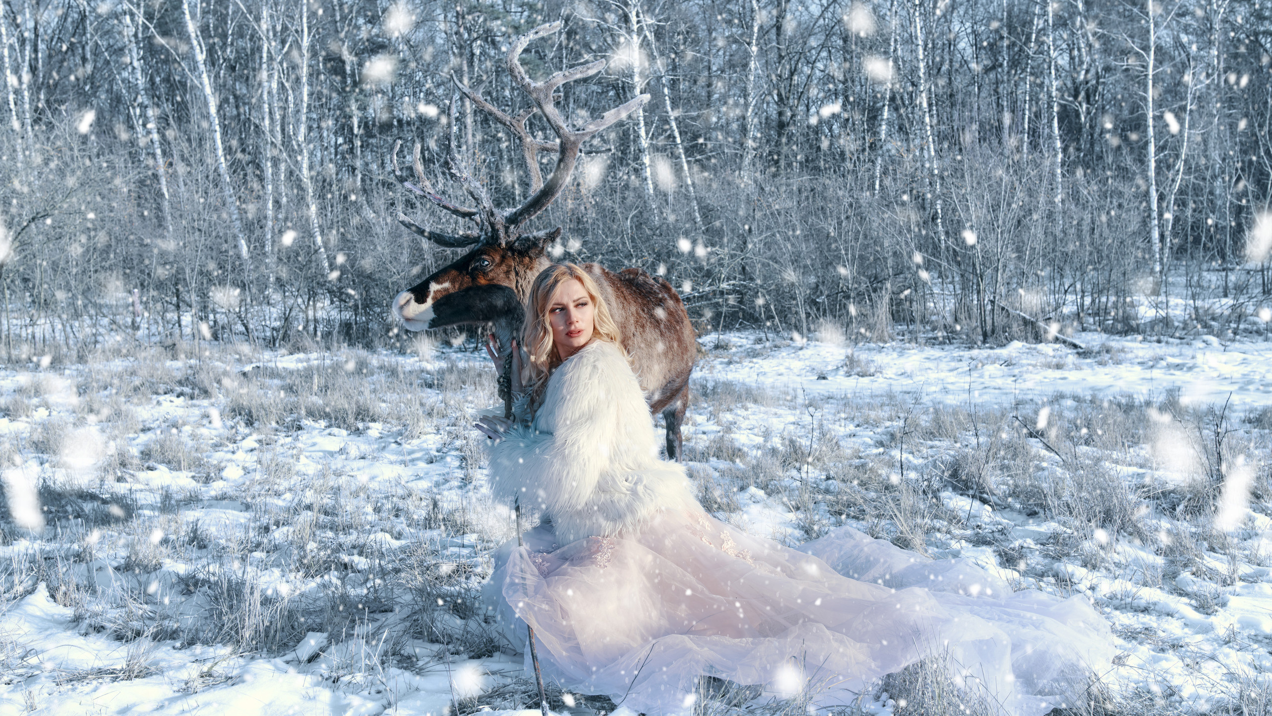 Зимние фотосеты. Главная