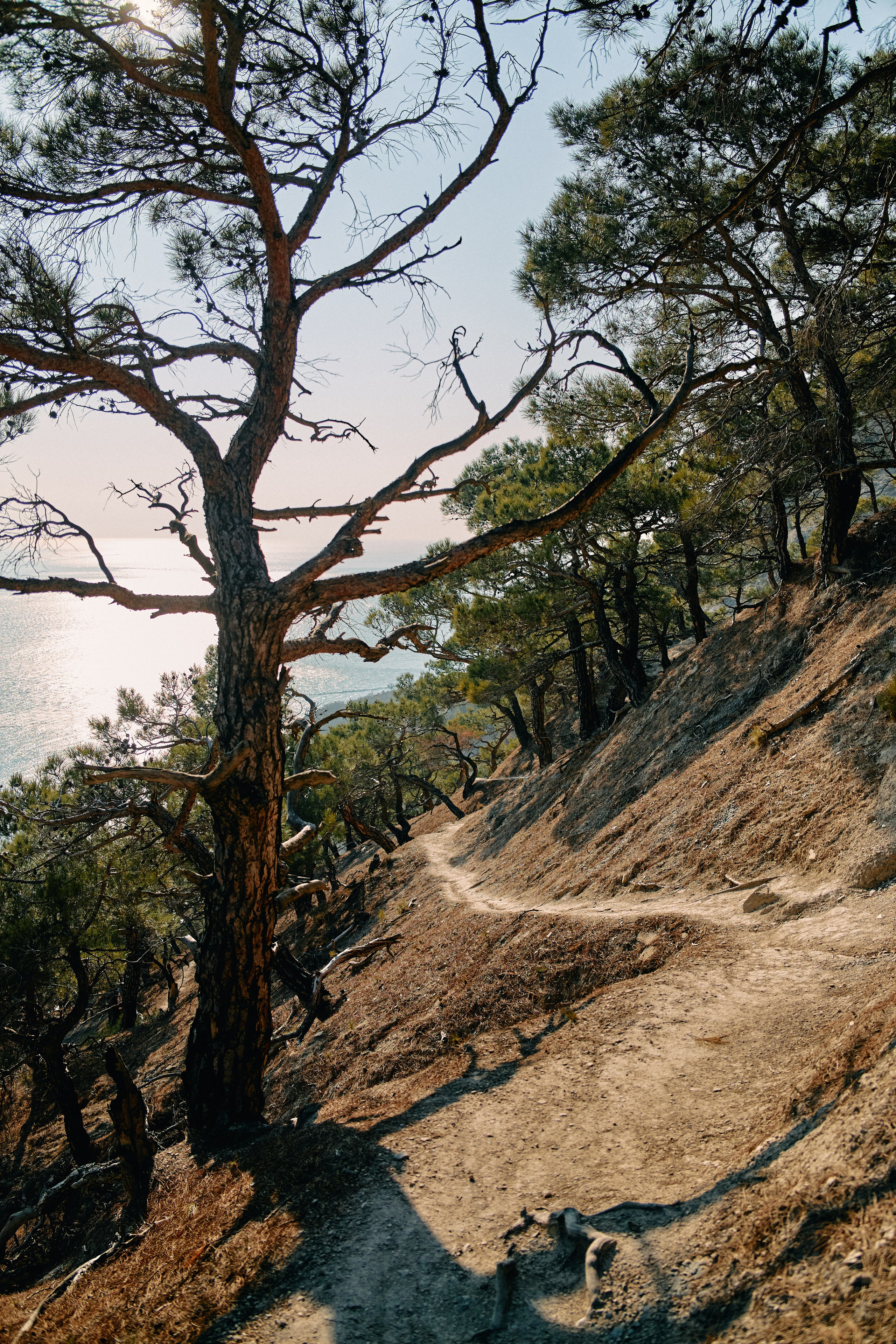 Юг России. Профессиональный Фотограф во Владимире, в Москве и в Суздале — Полина Романычева