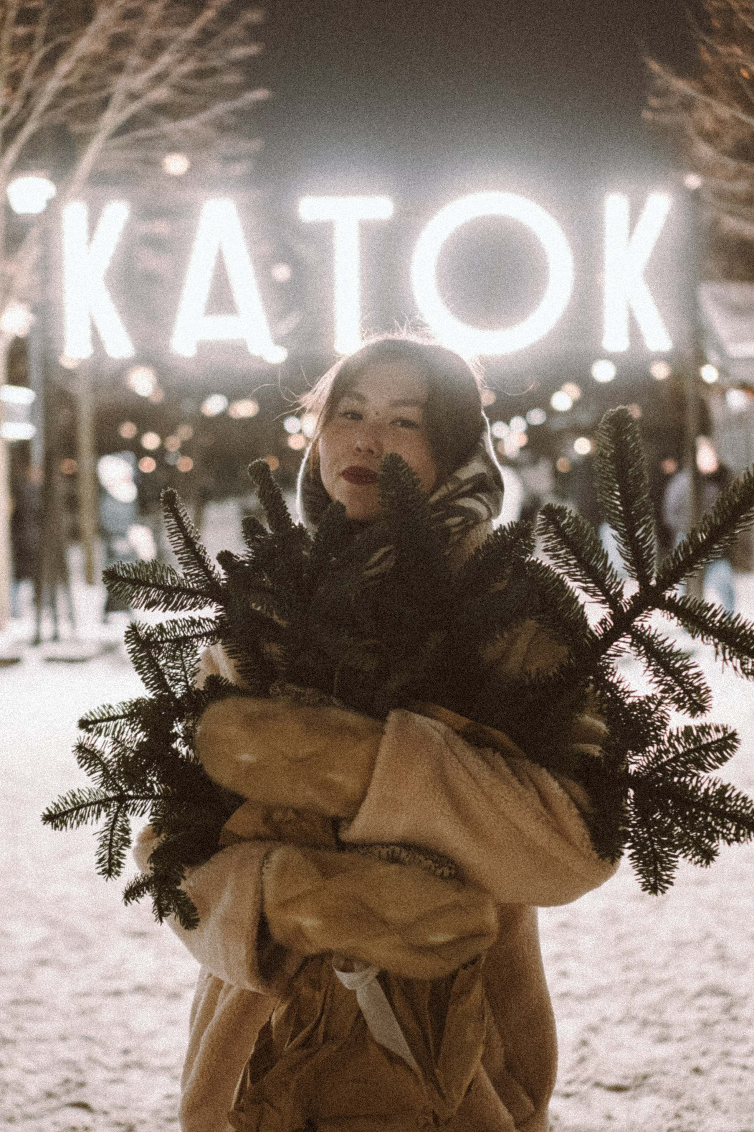 Зимняя сказка в Новой Голандии. Профессиональный фотограф, Санкт-Петербург — Виктория Богомолова