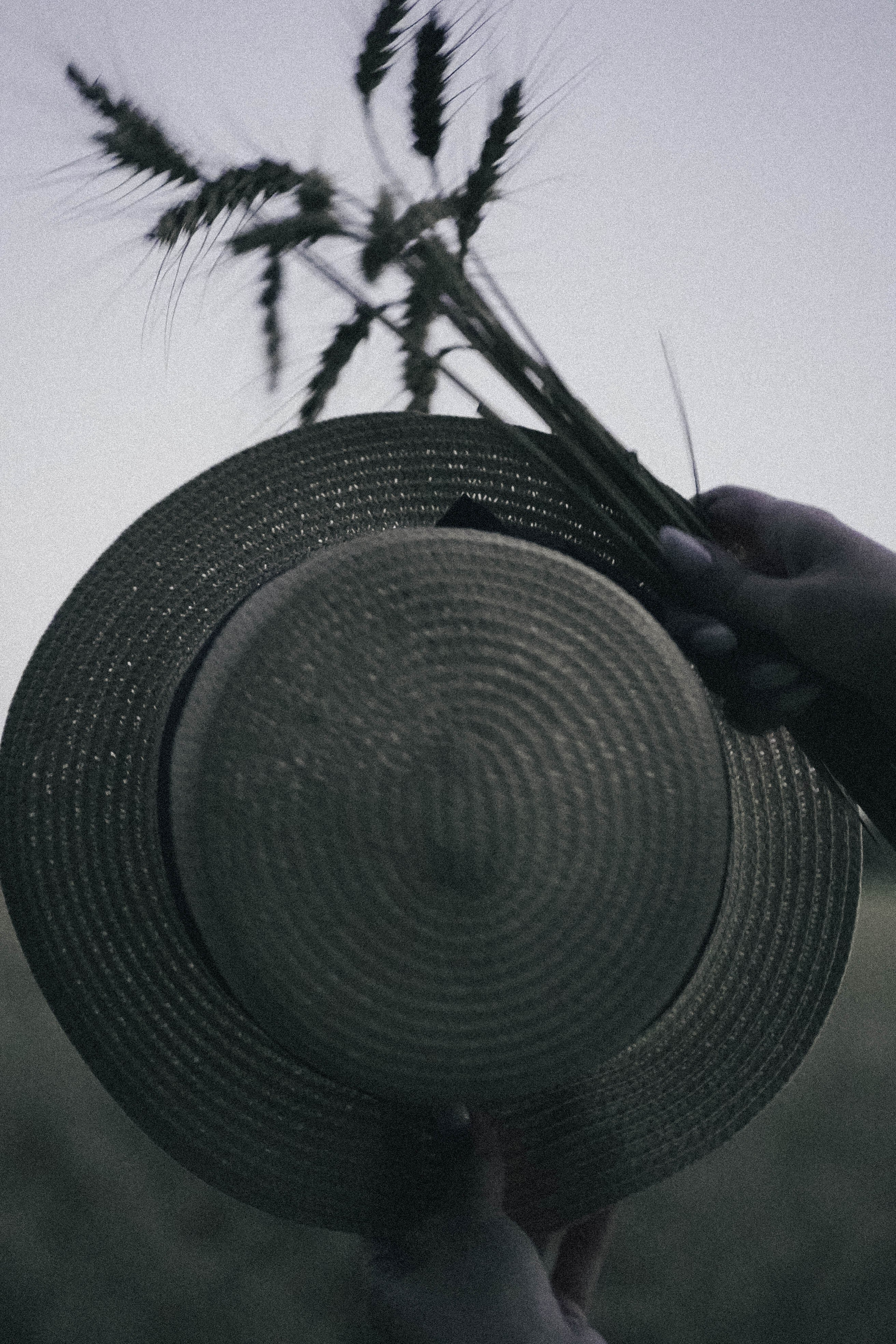 Летний вечер. Профессиональный фотограф, Санкт-Петербург — Виктория Богомолова