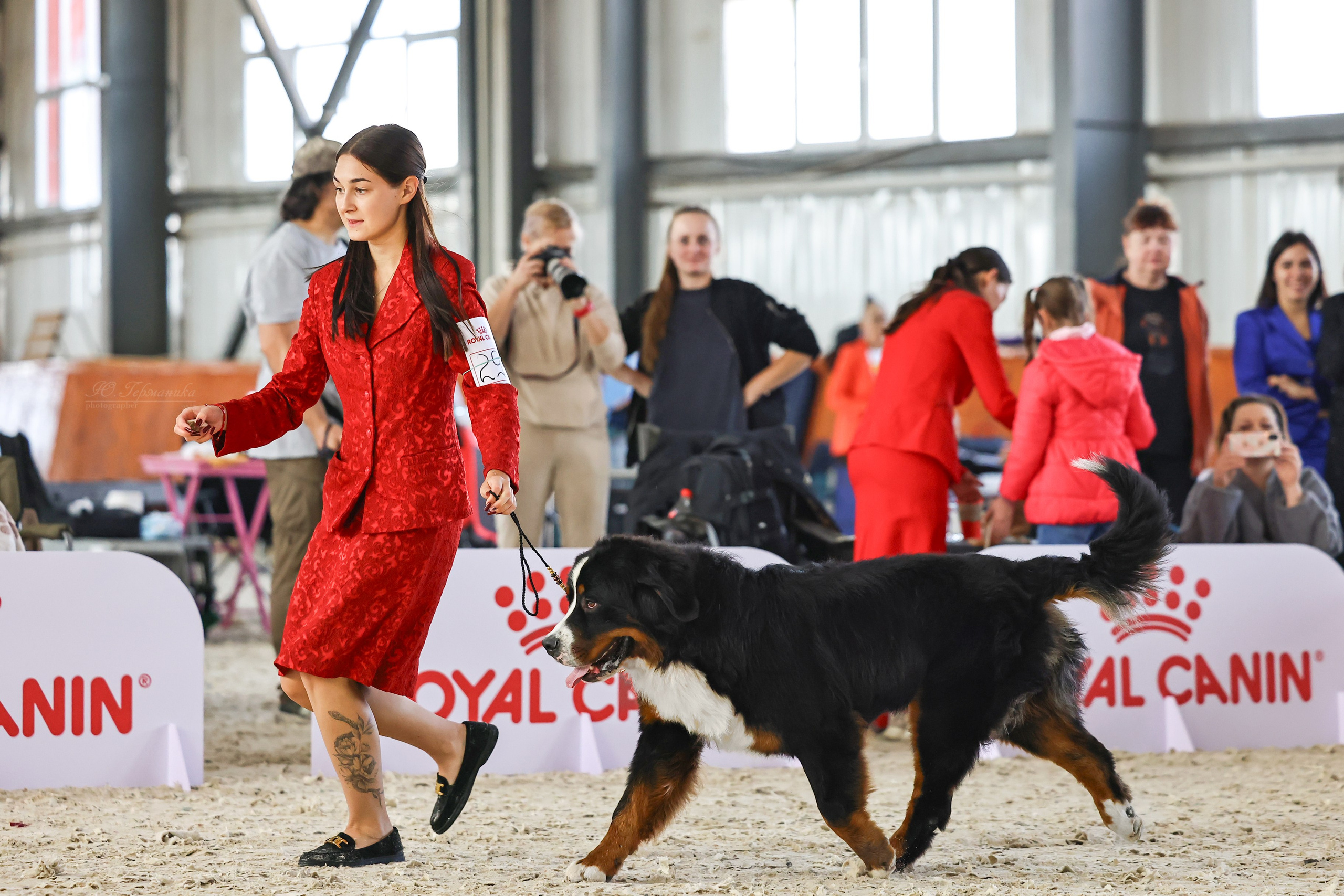 Астана 2хCACIB 26-28.09.2025. Фотограф-анималист Юлия Германика