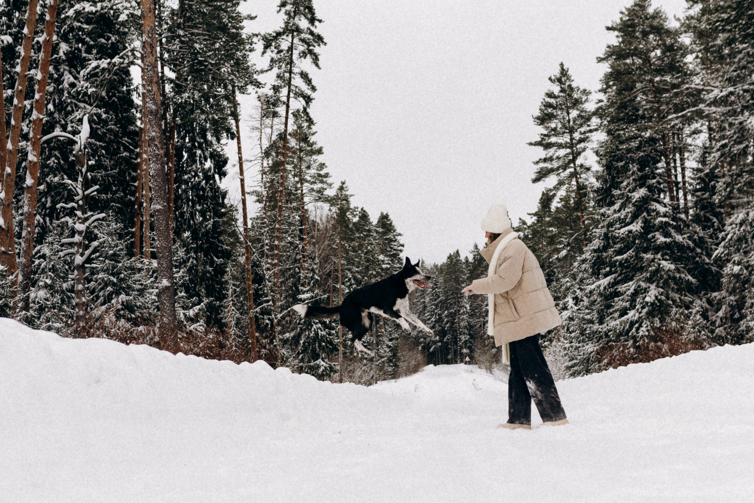 Аня и Милан. Фотограф анималист в Москве Ольга Агушева