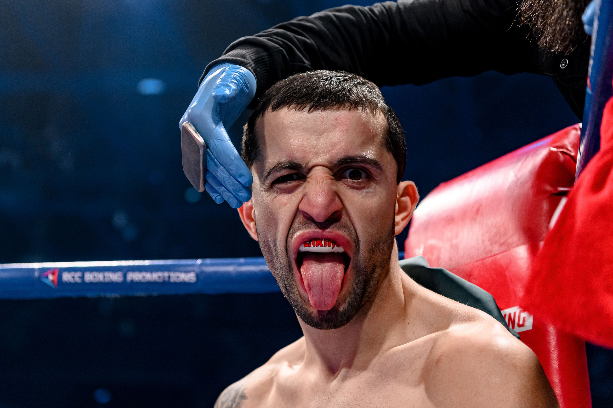 RCC Boxing. Максим Комаров — Профессиональный фотограф