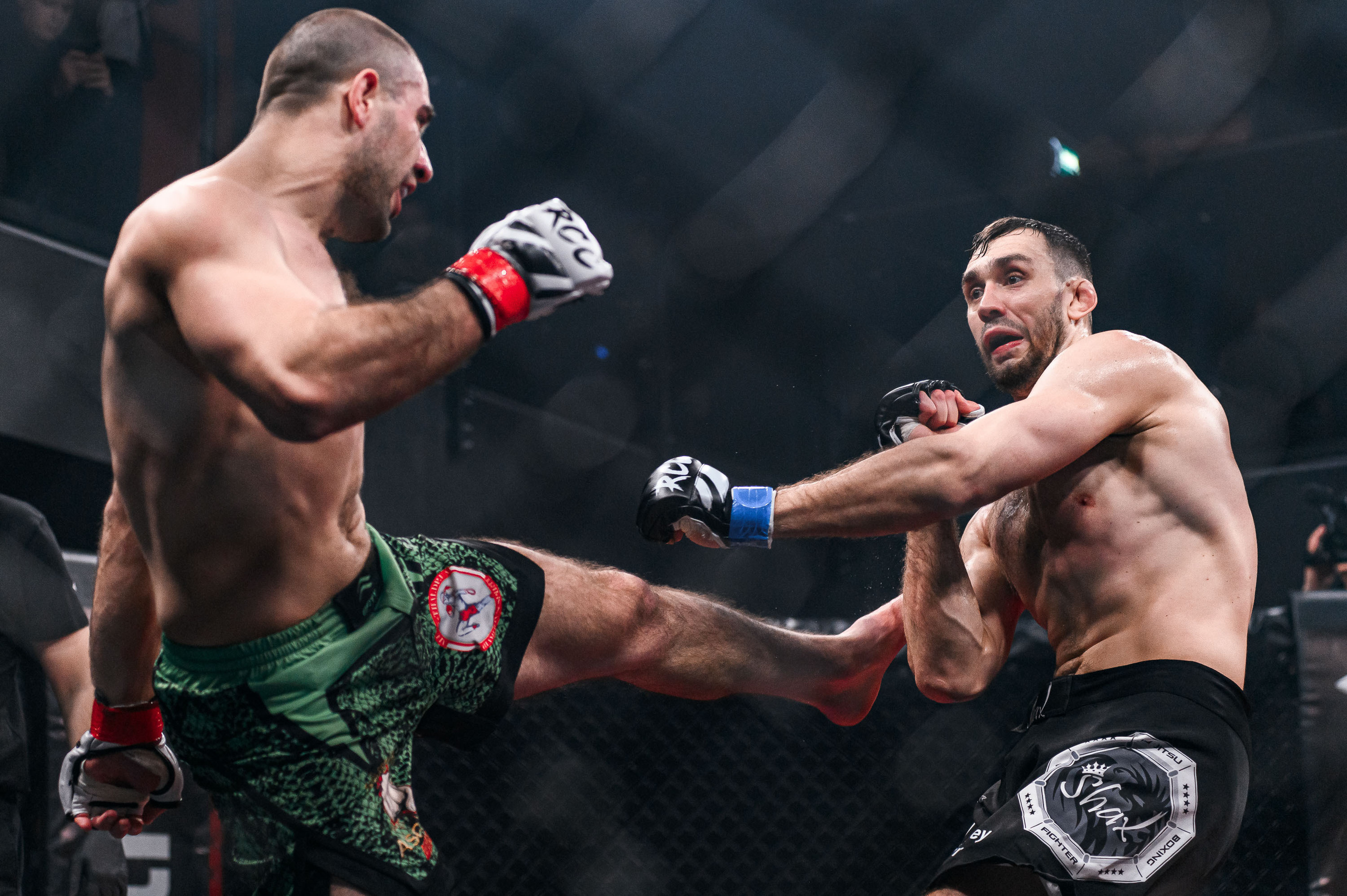 RCC MMA. Максим Комаров — Профессиональный фотограф