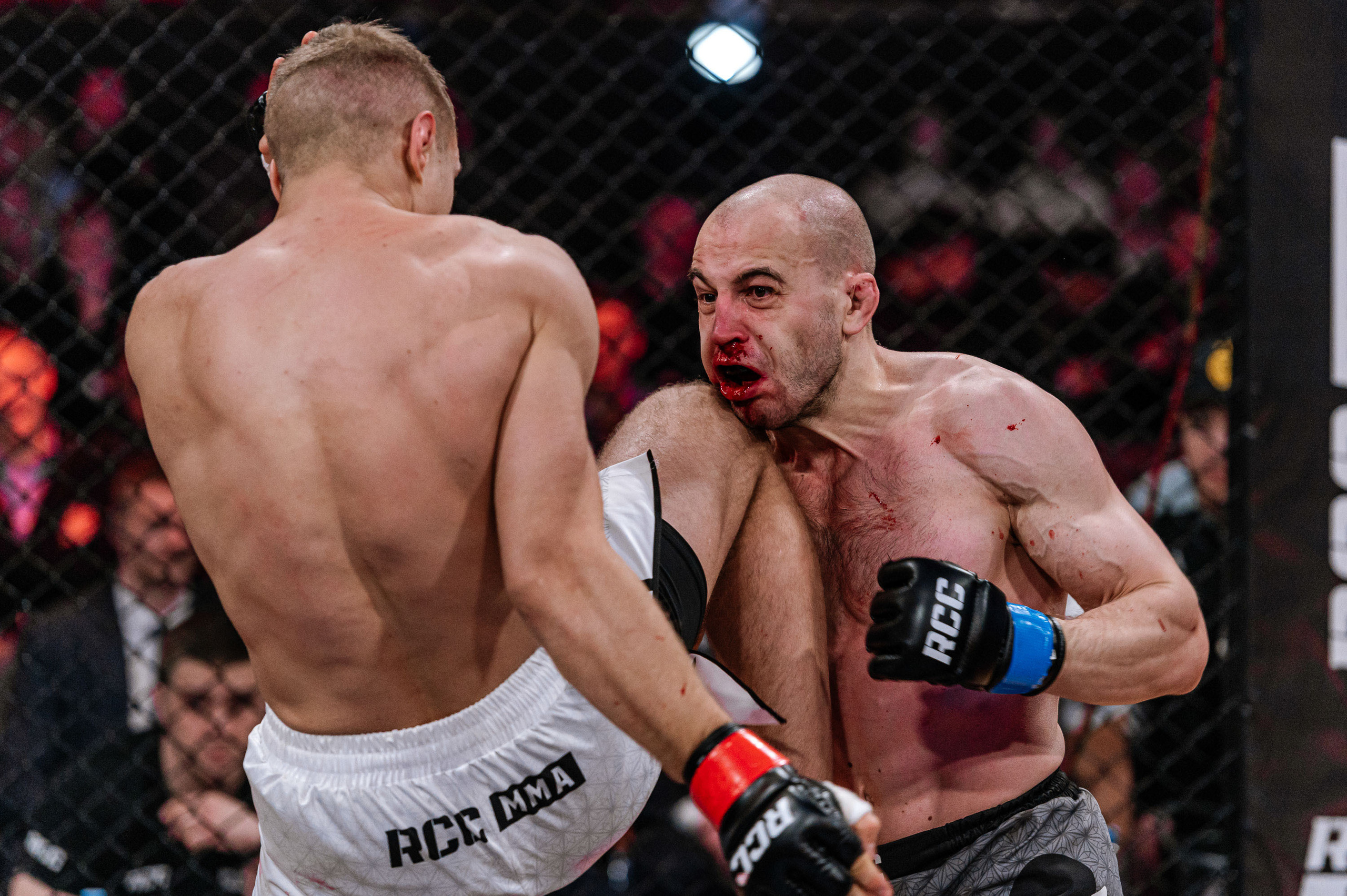 RCC MMA. Максим Комаров — Профессиональный фотограф