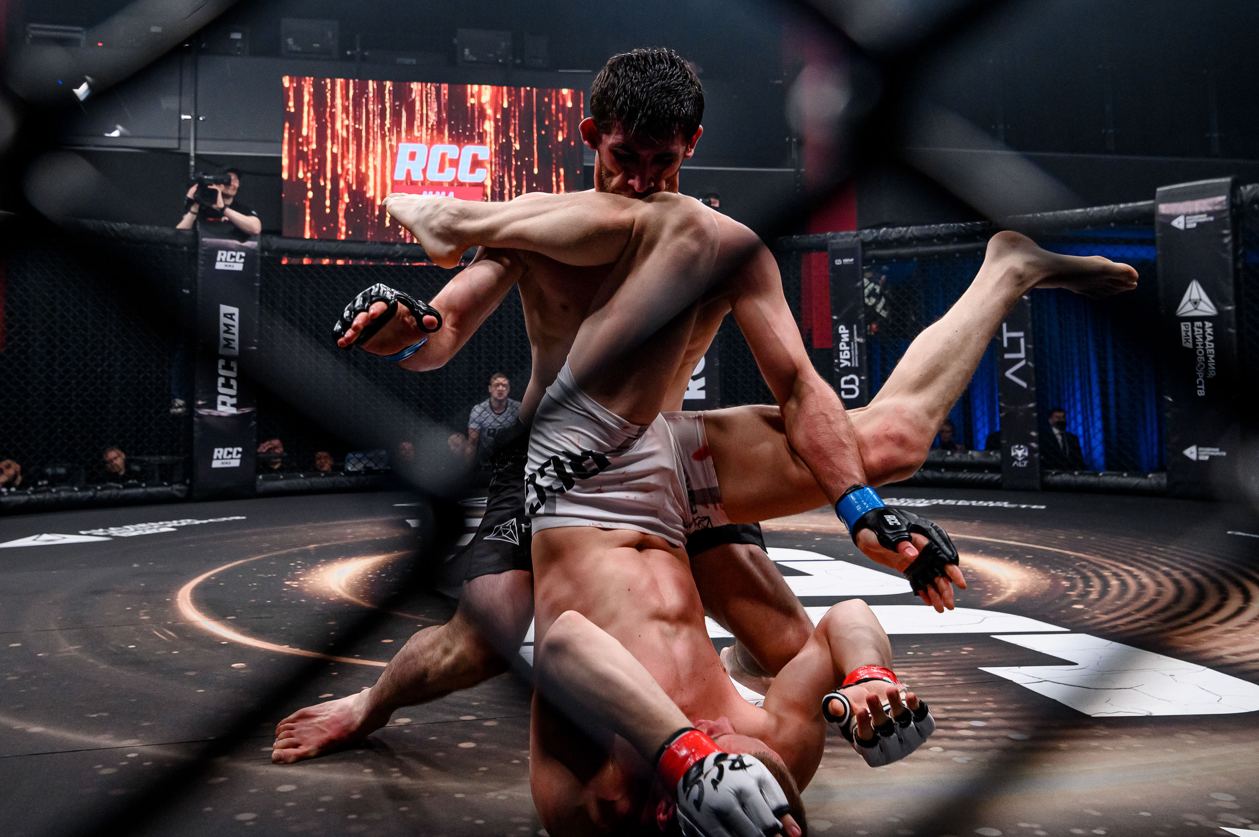 RCC MMA. Максим Комаров — Профессиональный фотограф