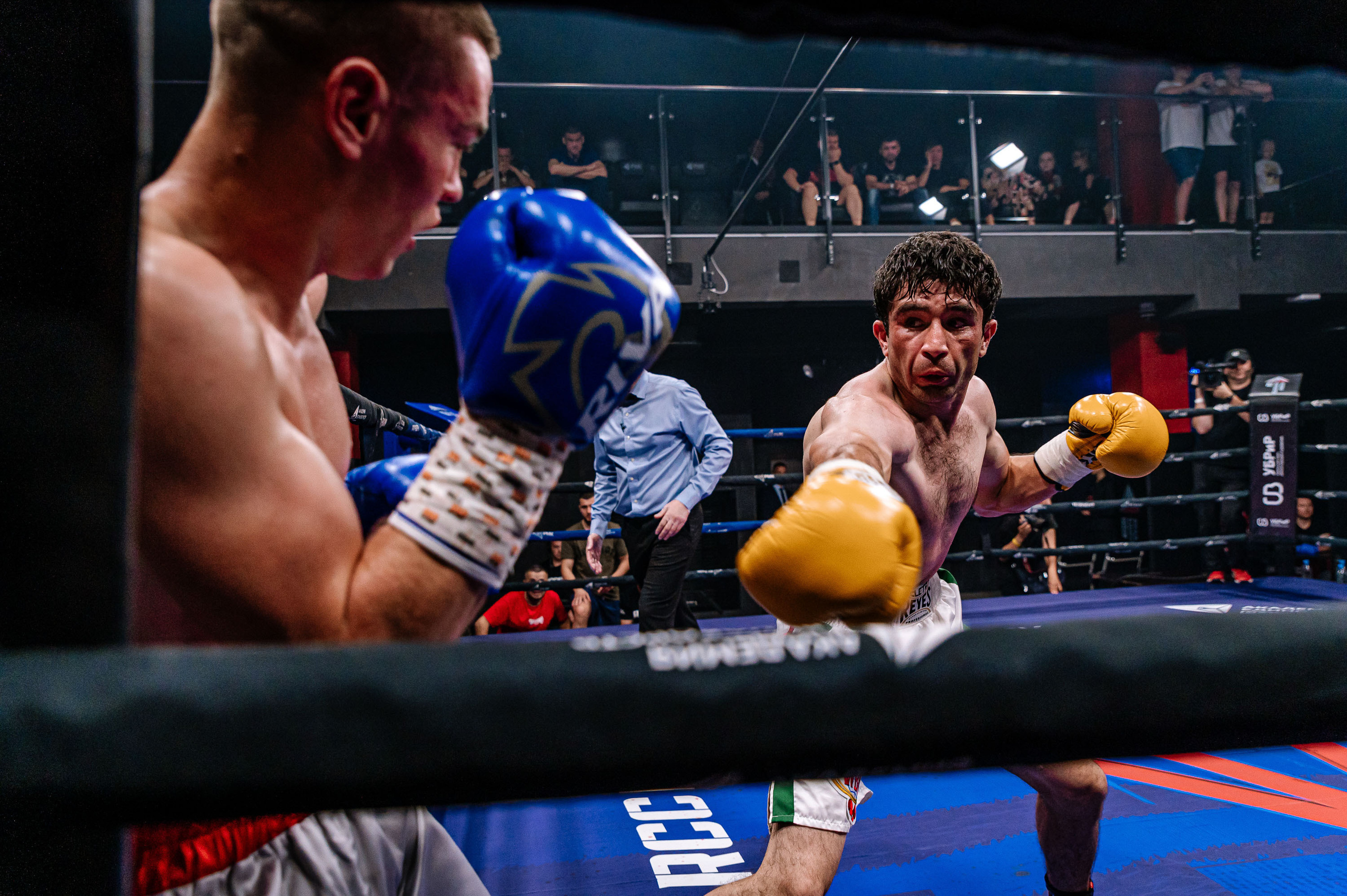 RCC Boxing. Максим Комаров — Профессиональный фотограф