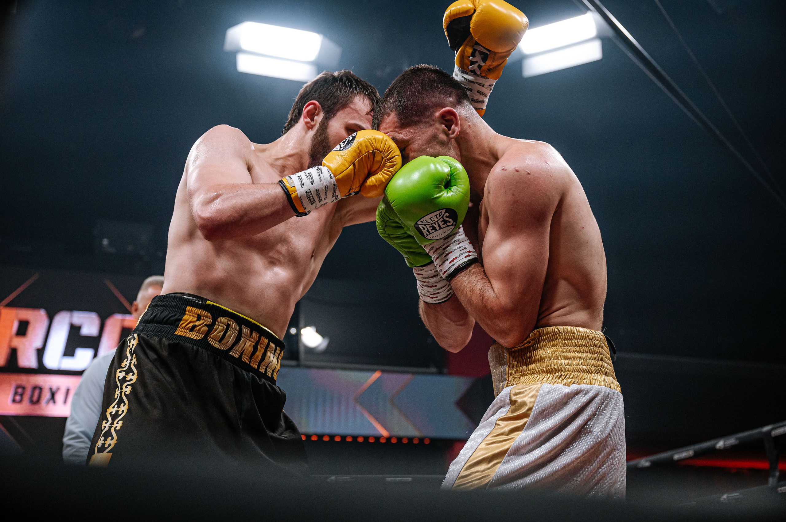 RCC Boxing. Максим Комаров — Профессиональный фотограф