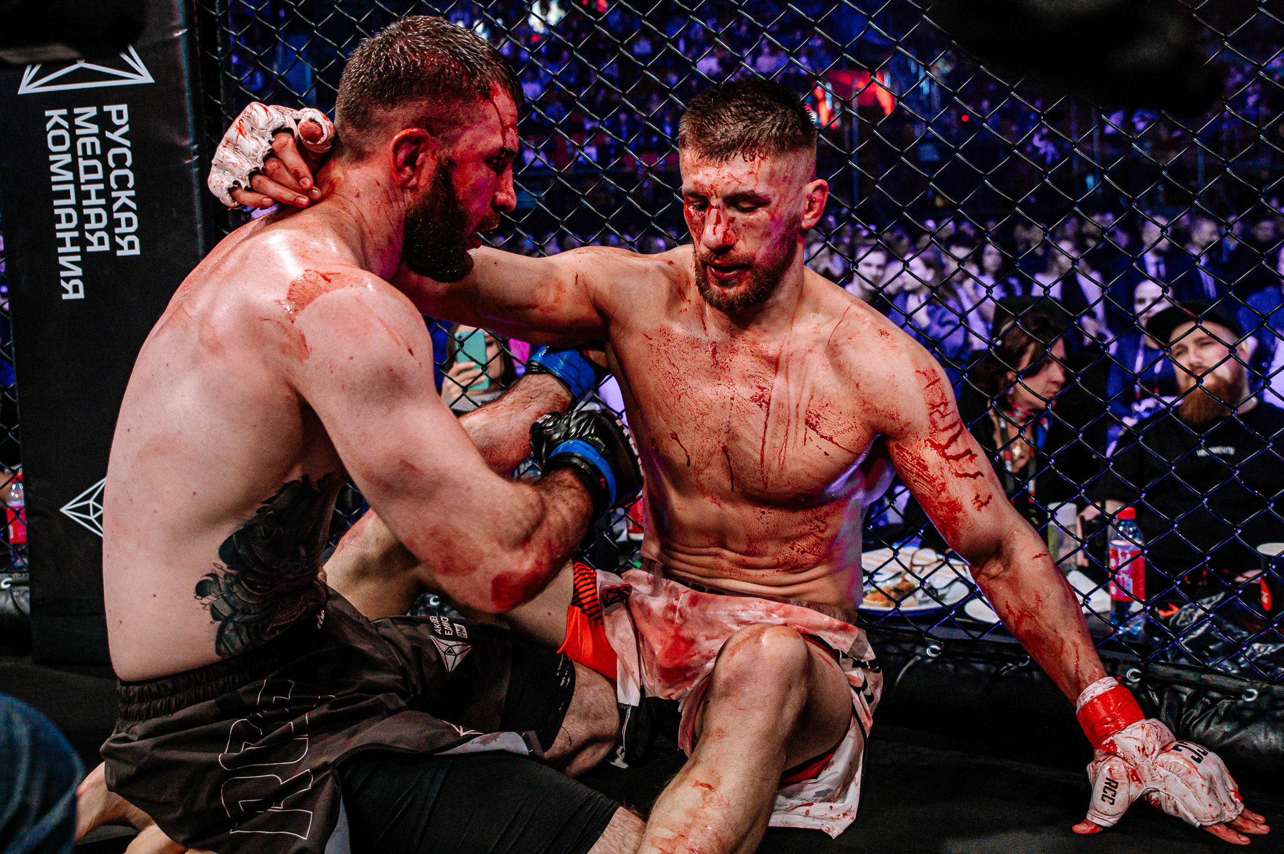 RCC MMA. Максим Комаров — Профессиональный фотограф