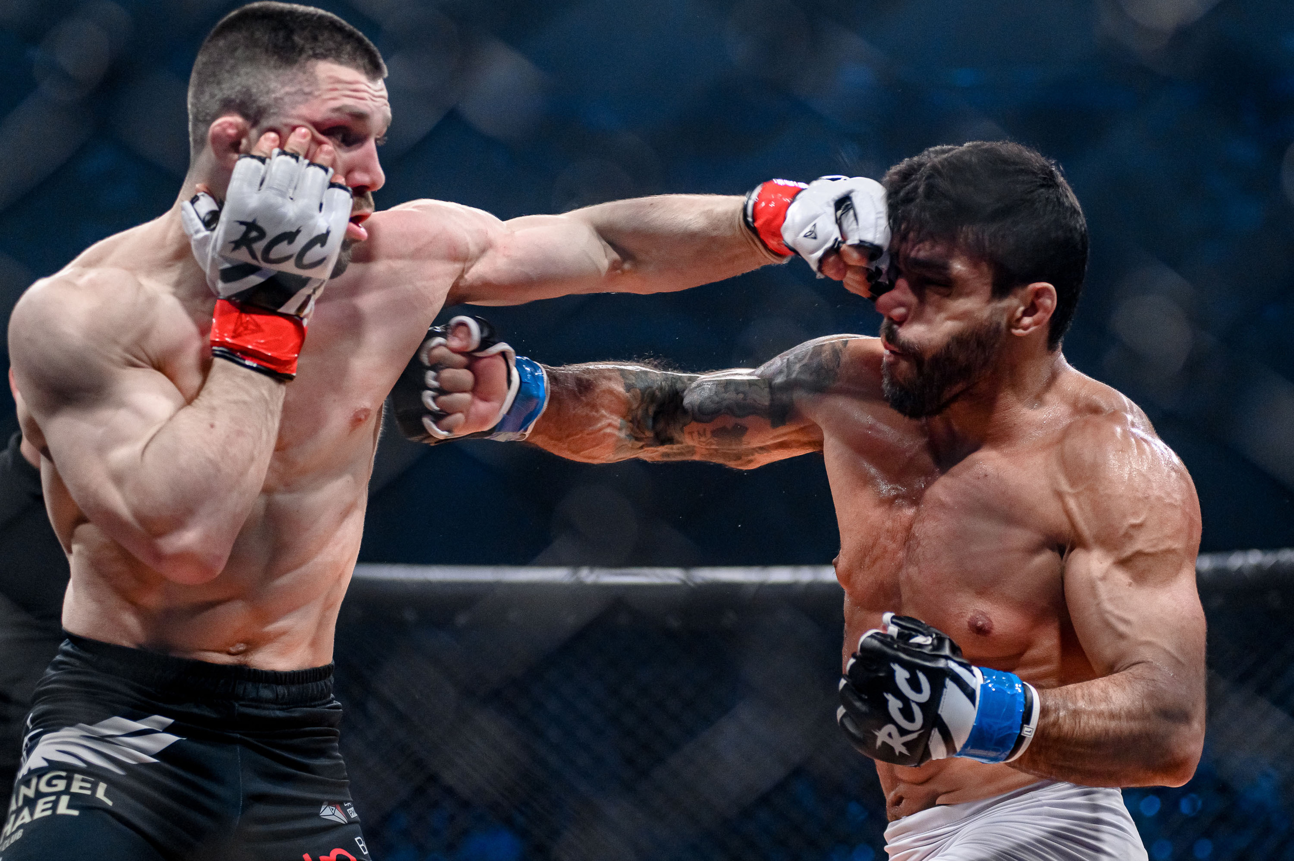 RCC MMA. Максим Комаров — Профессиональный фотограф