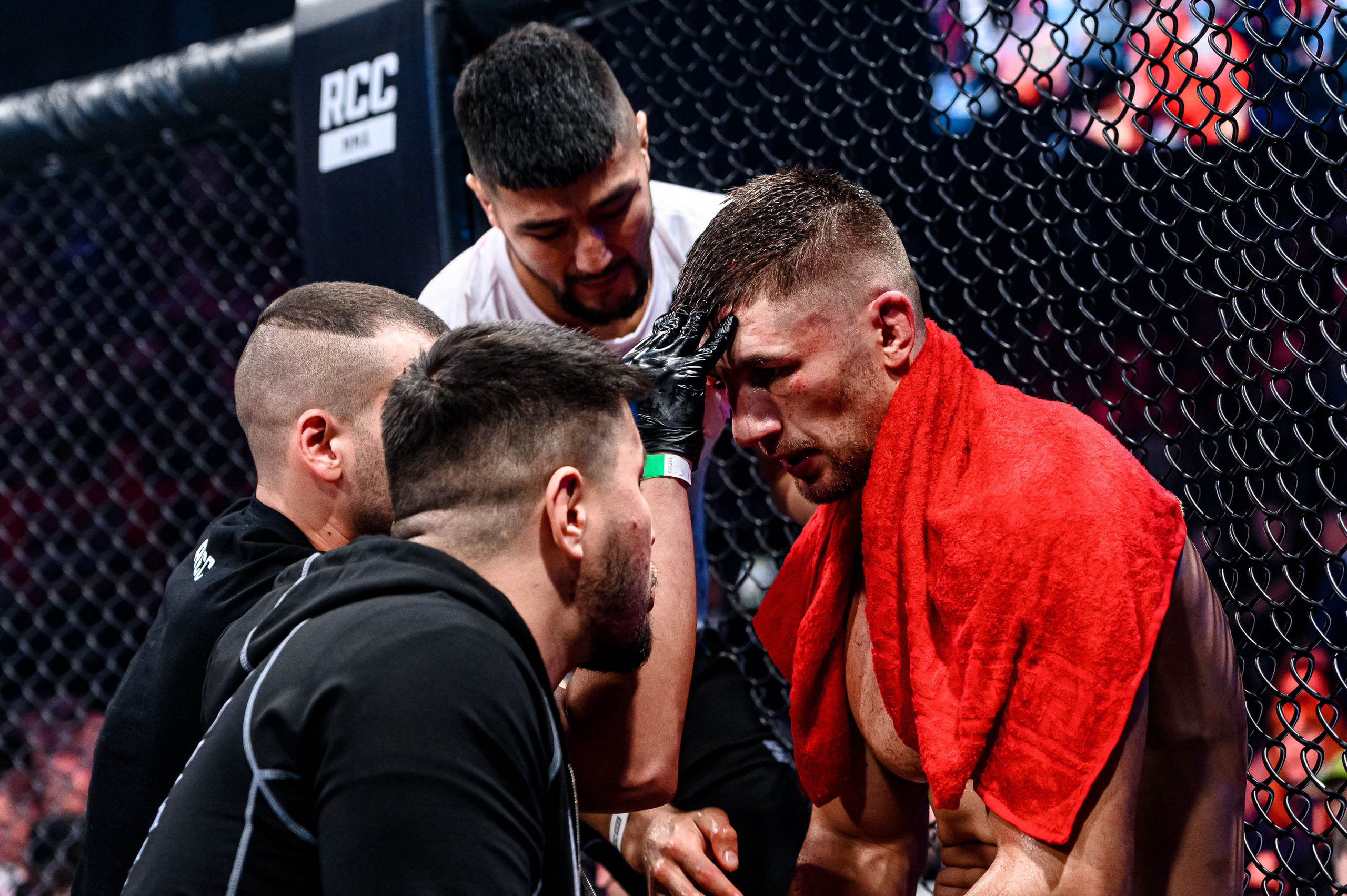 RCC MMA. Максим Комаров — Профессиональный фотограф