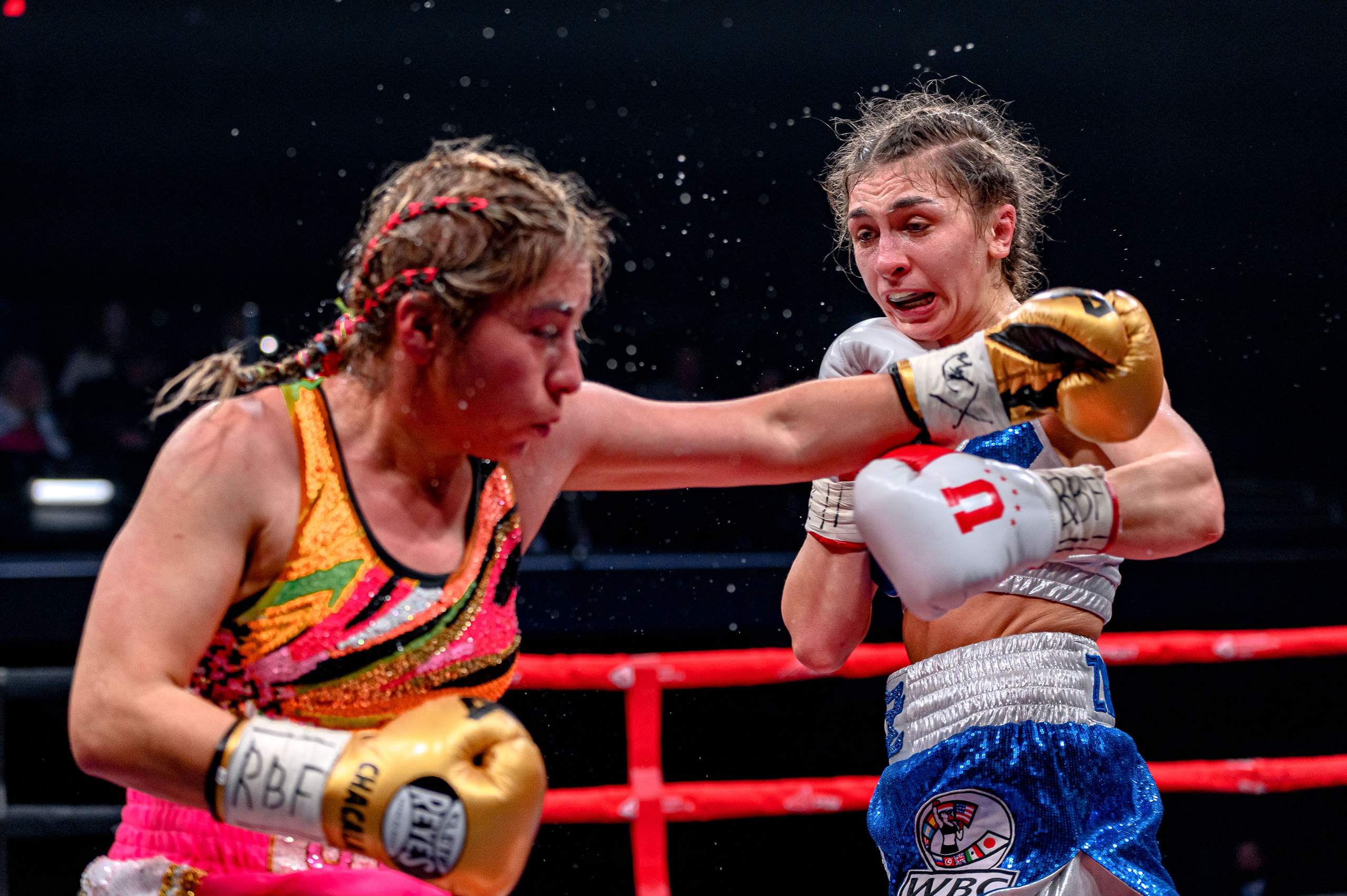 RCC Boxing. Максим Комаров — Профессиональный фотограф