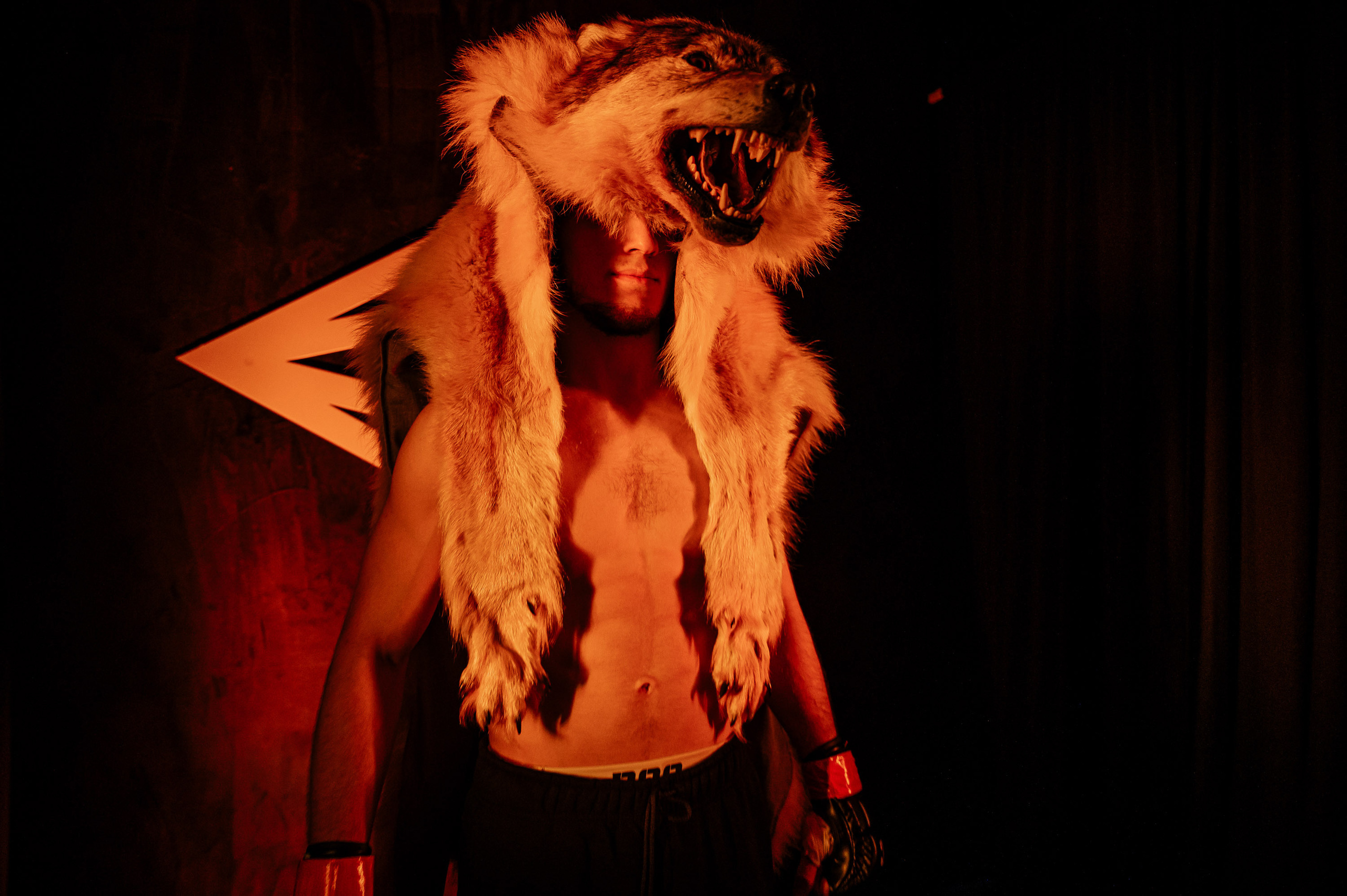 RCC MMA. Максим Комаров — Профессиональный фотограф