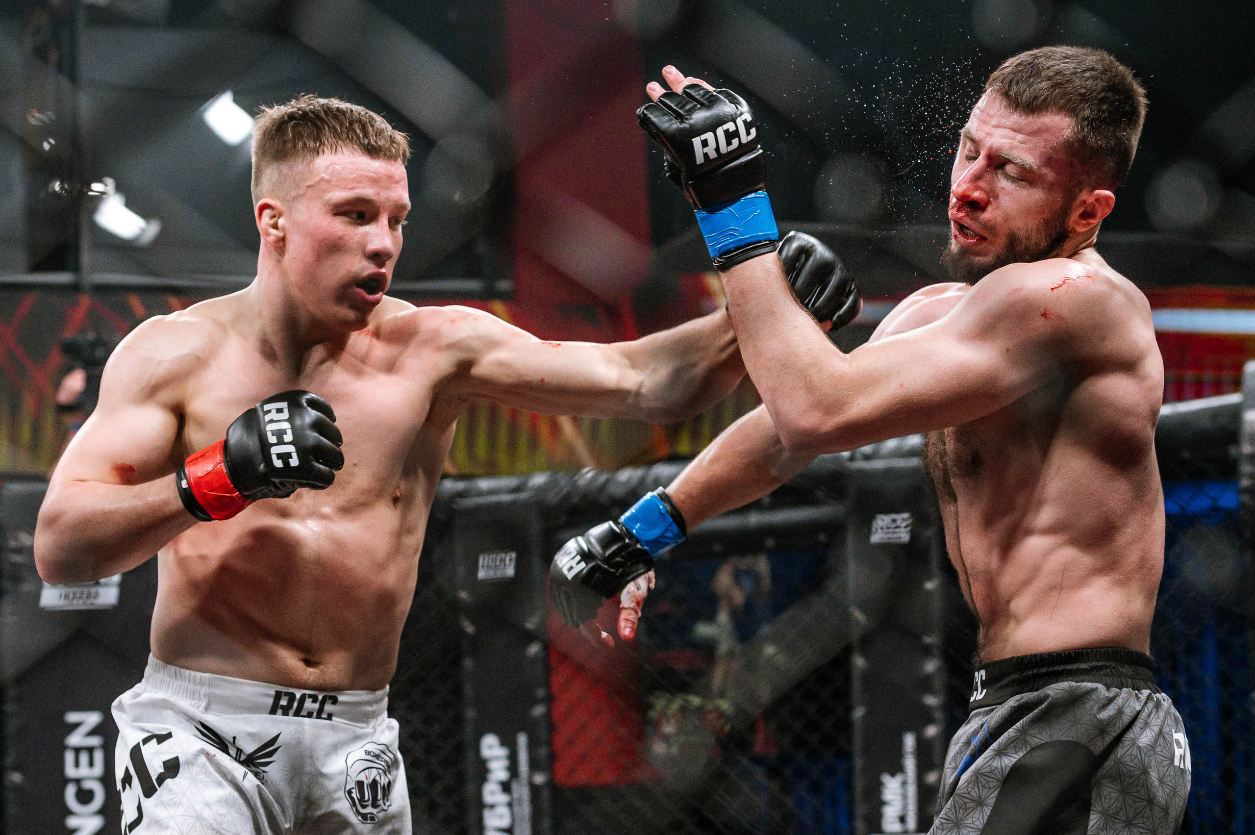 RCC MMA. Максим Комаров — Профессиональный фотограф