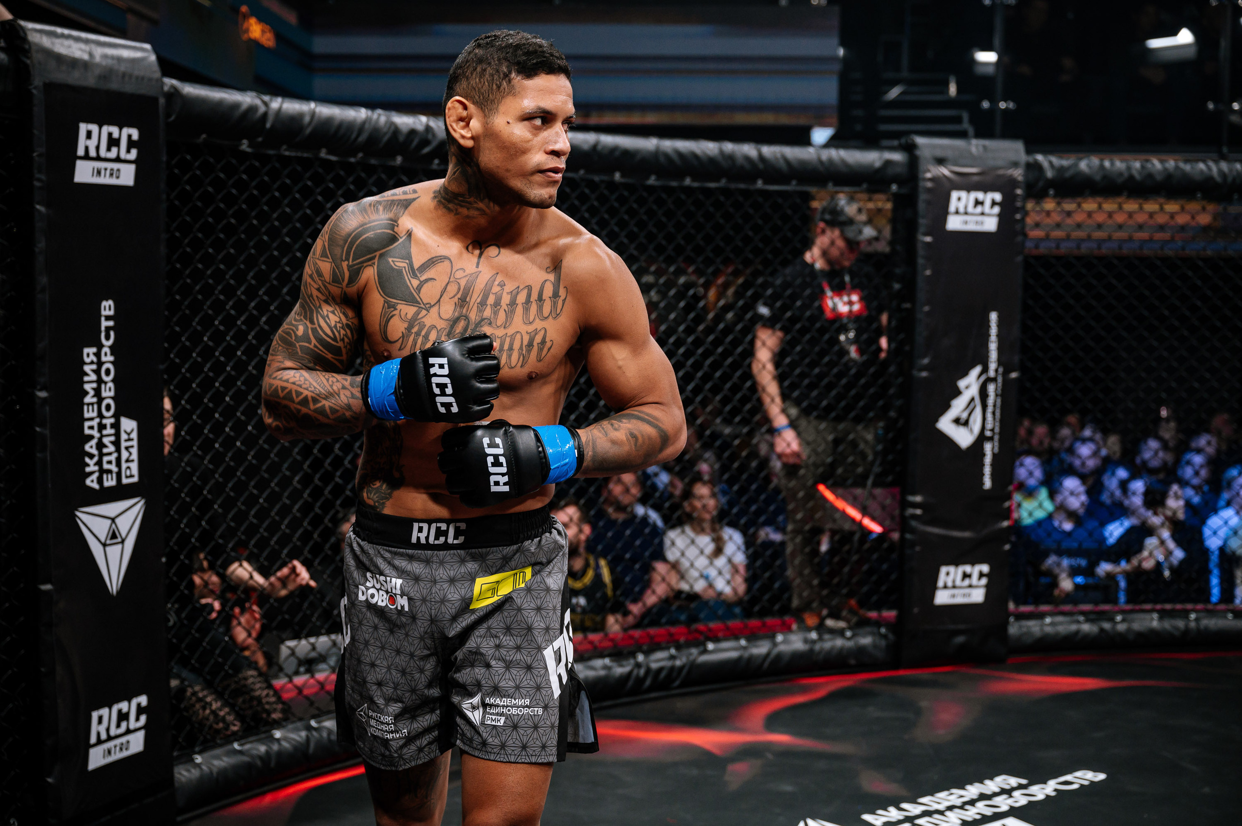 RCC MMA. Максим Комаров — Профессиональный фотограф