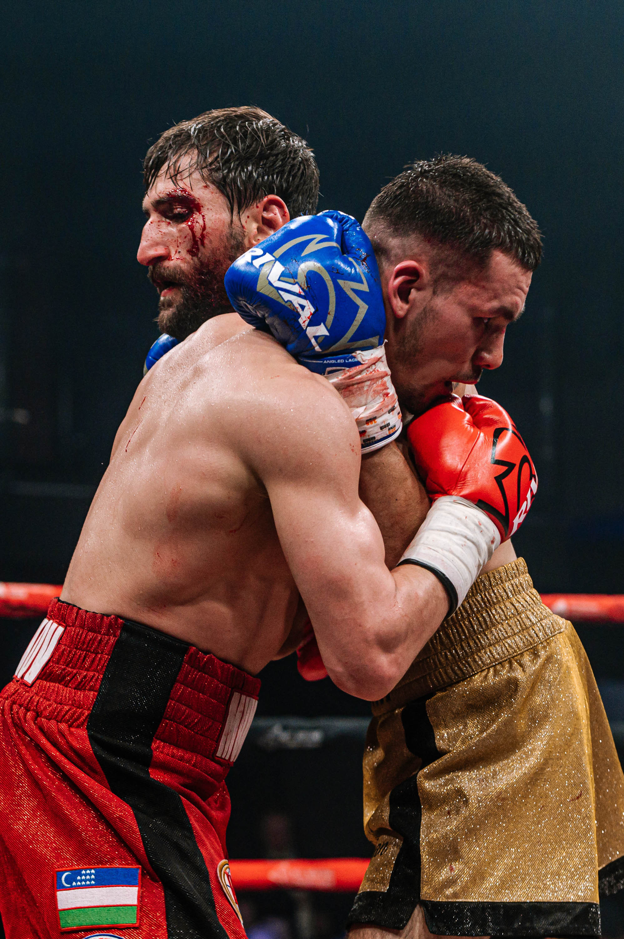 RCC Boxing. Максим Комаров — Профессиональный фотограф