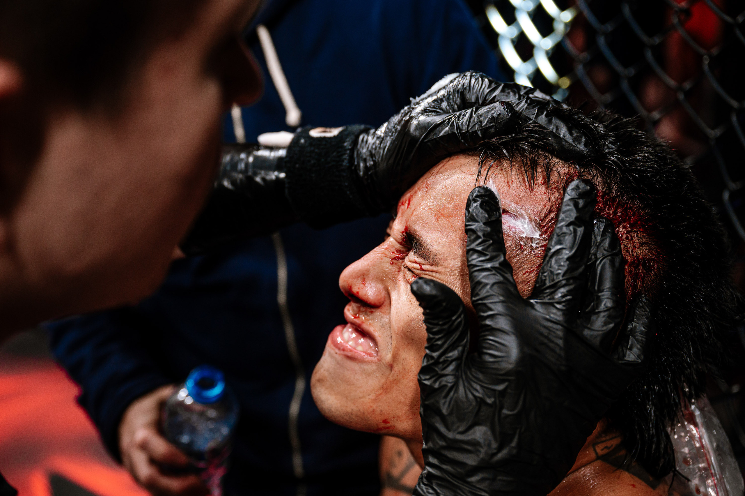 RCC MMA. Максим Комаров — Профессиональный фотограф