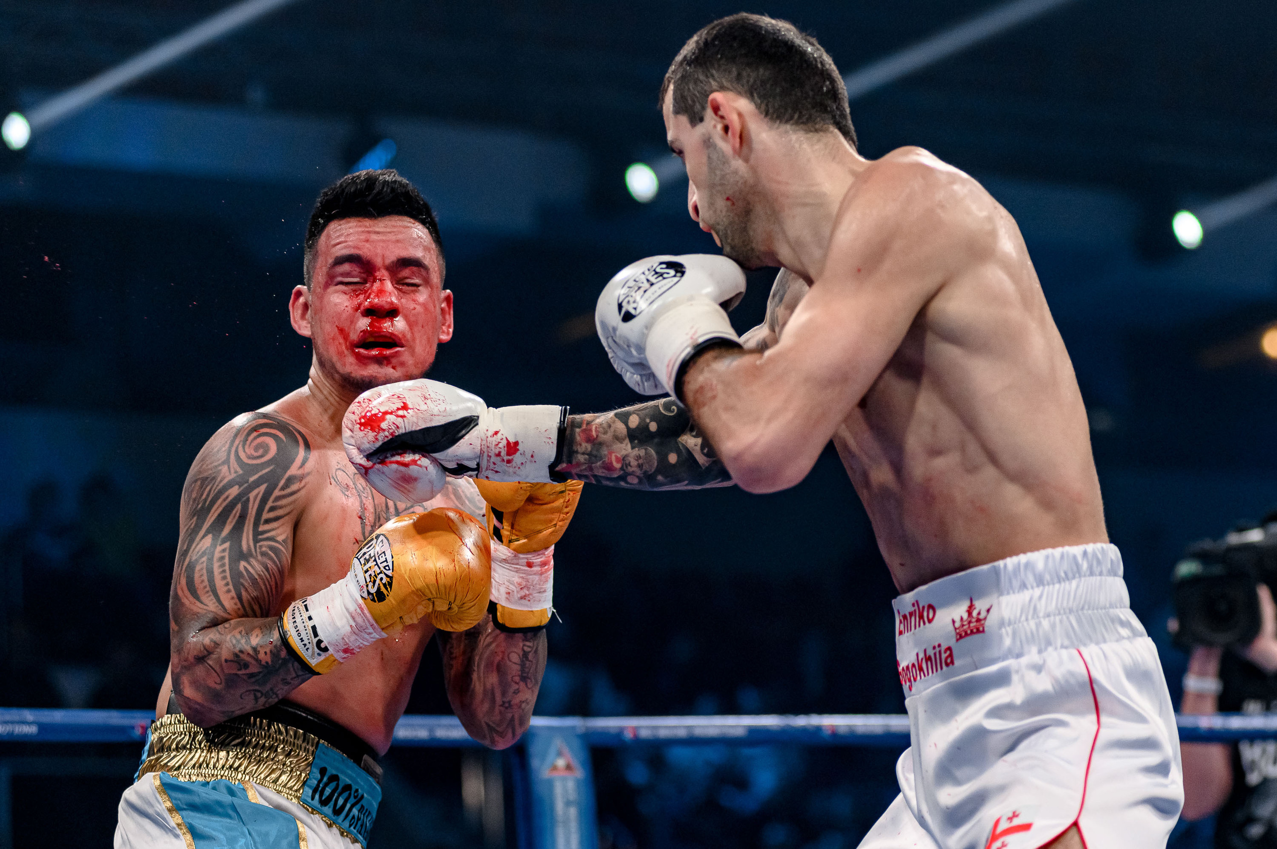 RCC Boxing. Максим Комаров — Профессиональный фотограф