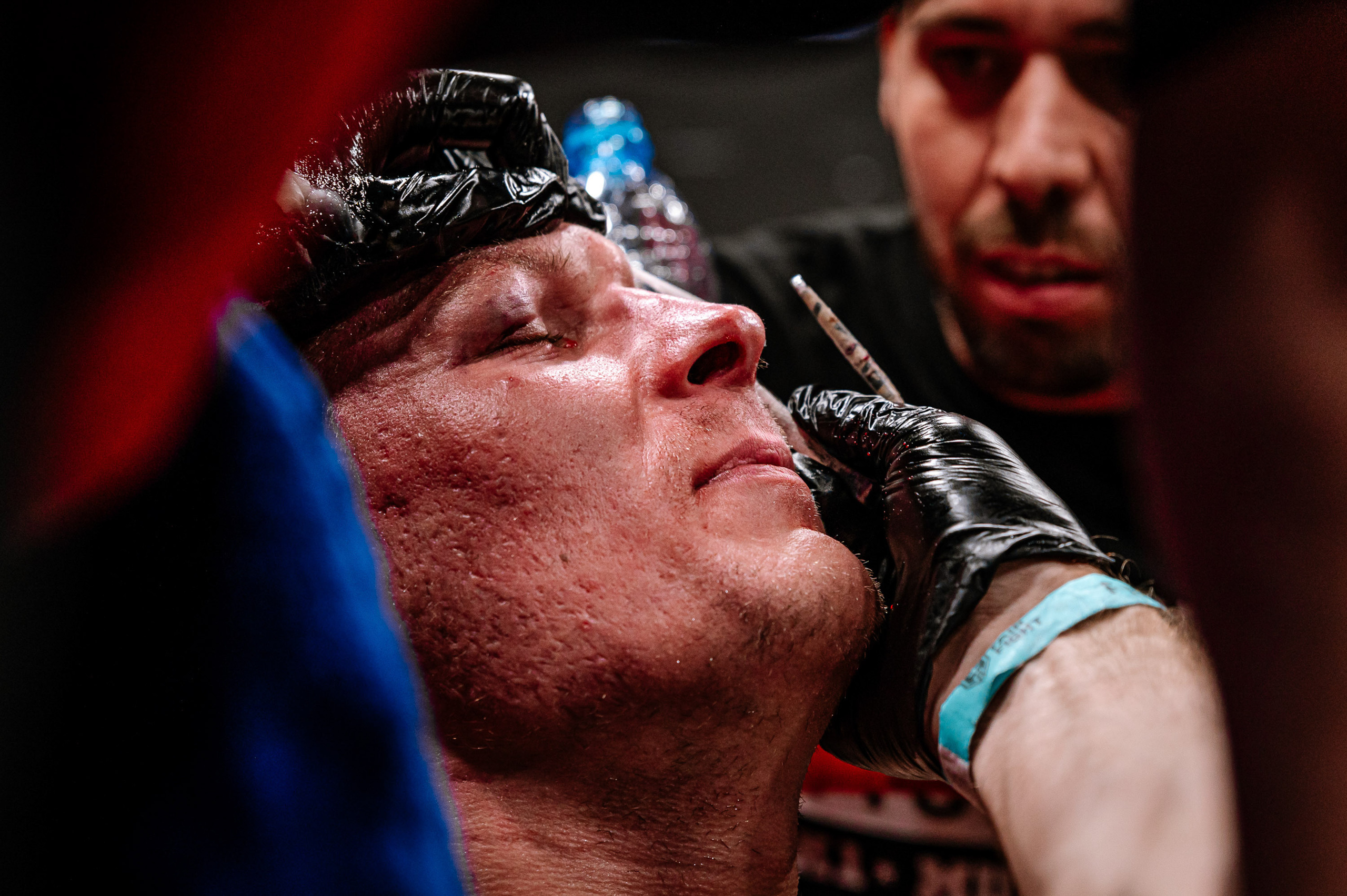 RCC Boxing. Максим Комаров — Профессиональный фотограф