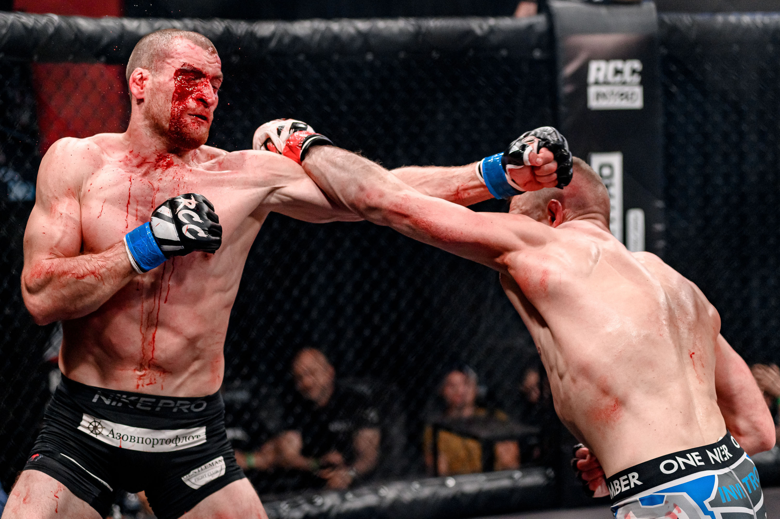 RCC MMA. Максим Комаров — Профессиональный фотограф