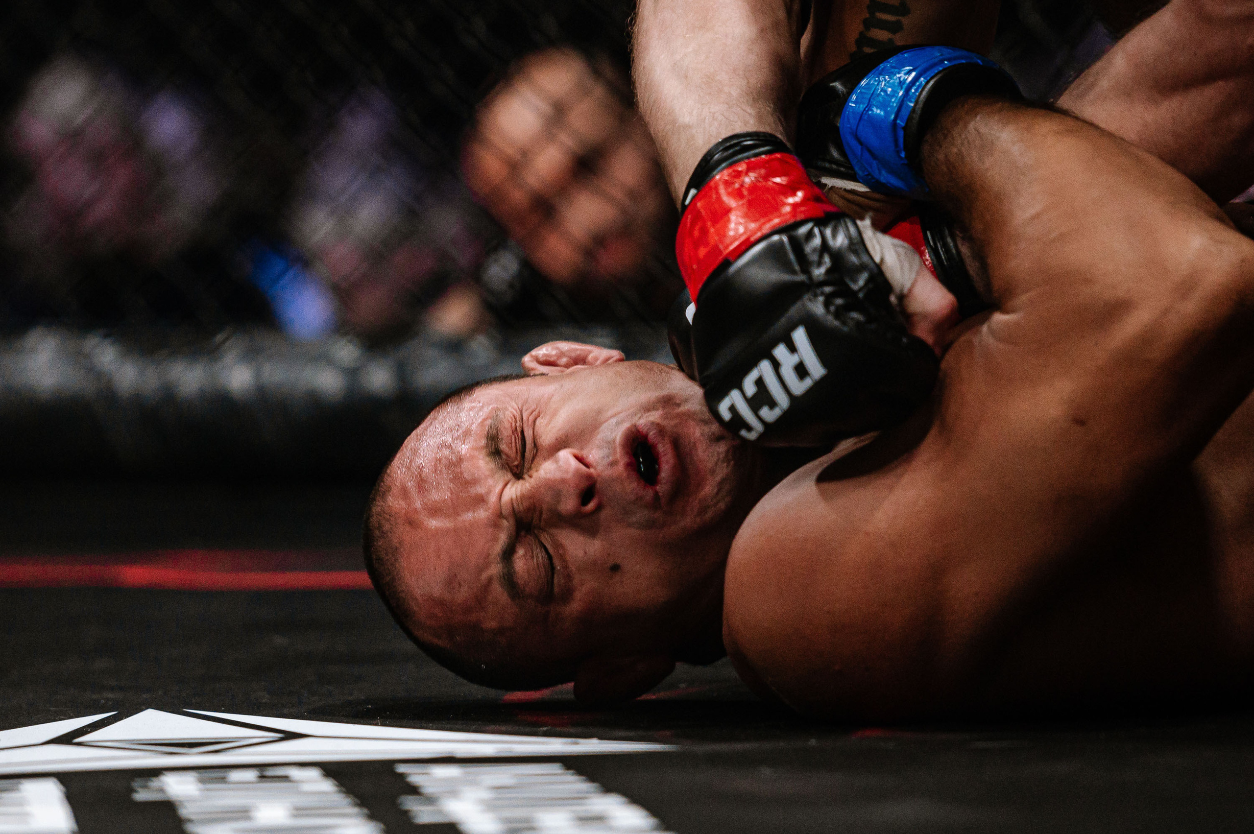 RCC MMA. Максим Комаров — Профессиональный фотограф