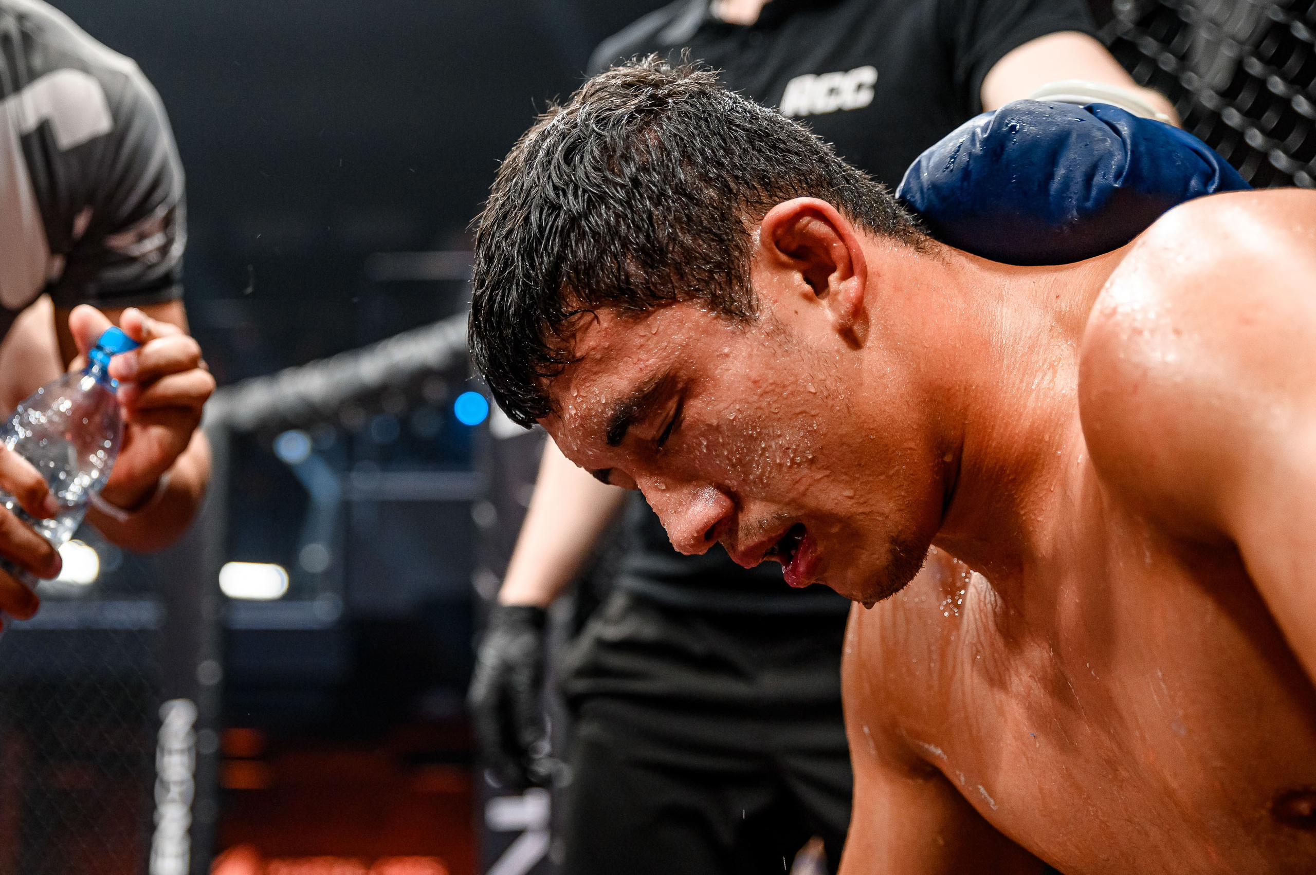 RCC MMA. Максим Комаров — Профессиональный фотограф