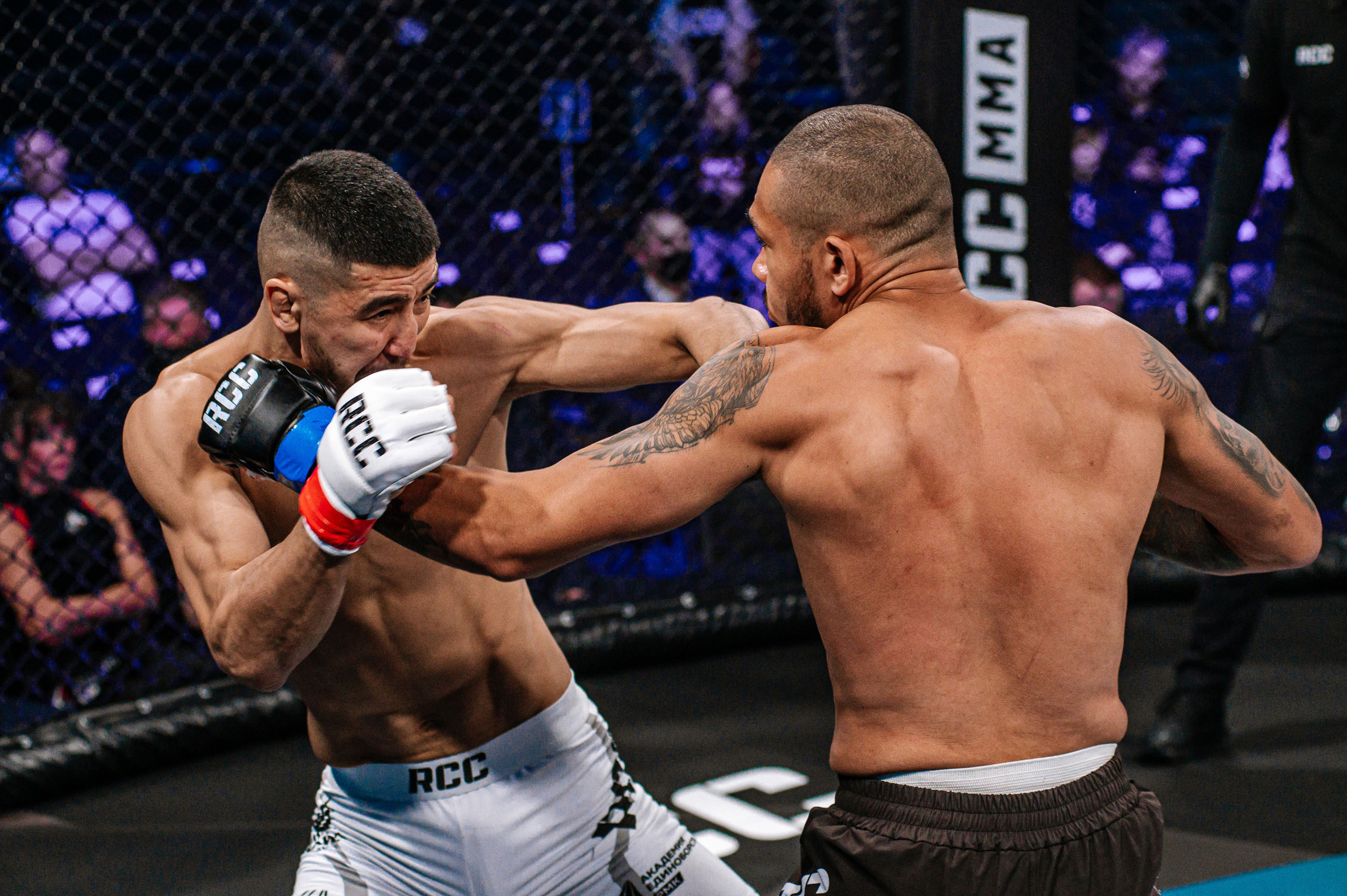 RCC MMA. Максим Комаров — Профессиональный фотограф