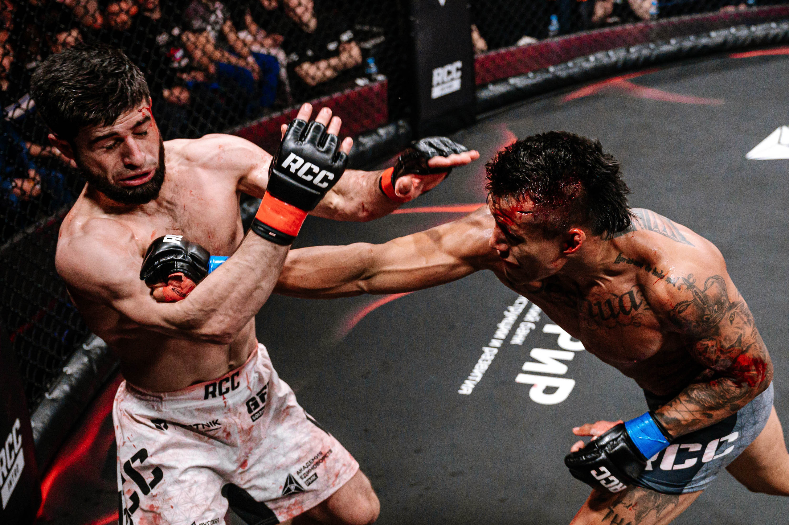 RCC MMA. Максим Комаров — Профессиональный фотограф